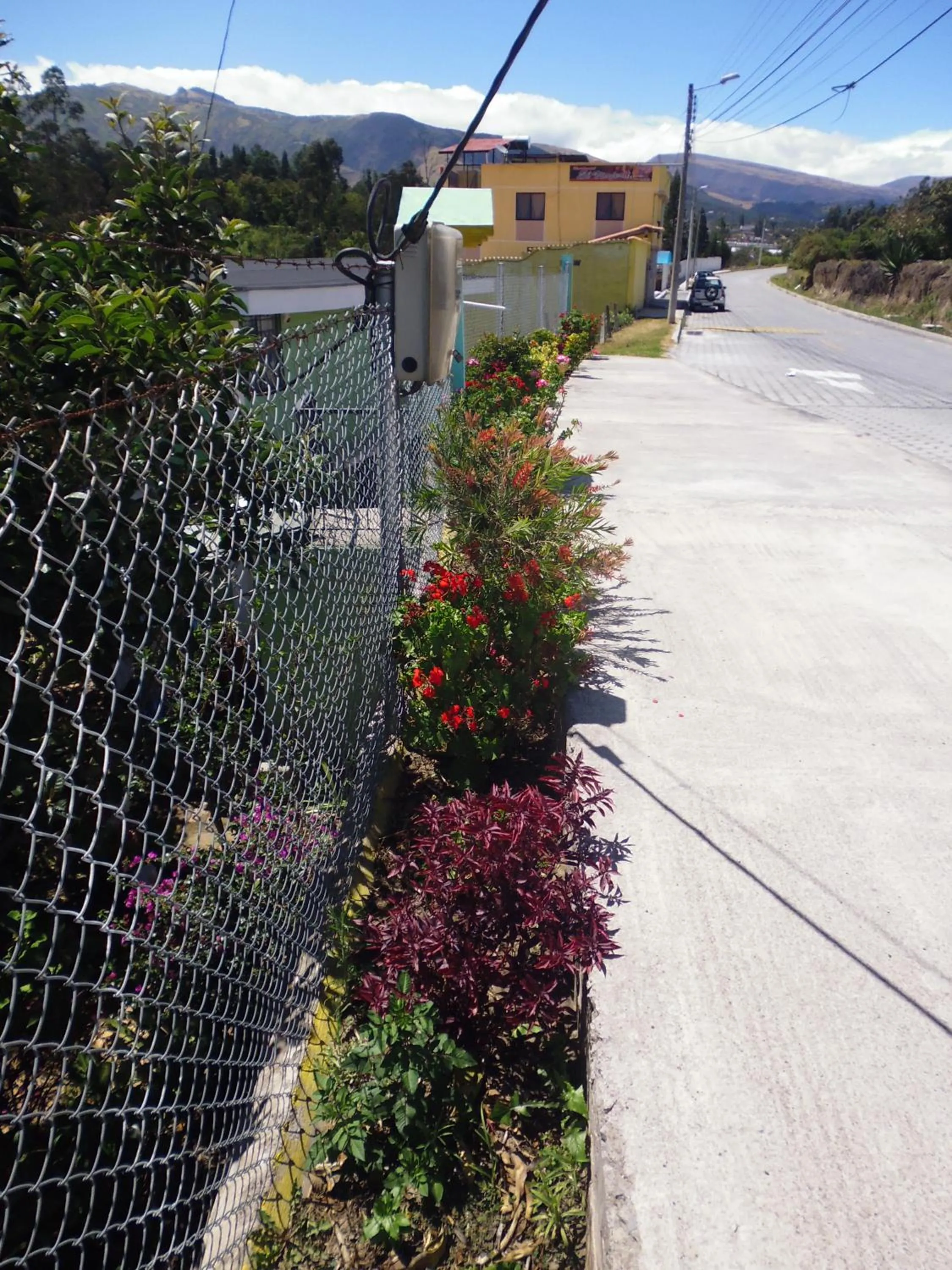 Garden view in Hotel Residencial El Viajero