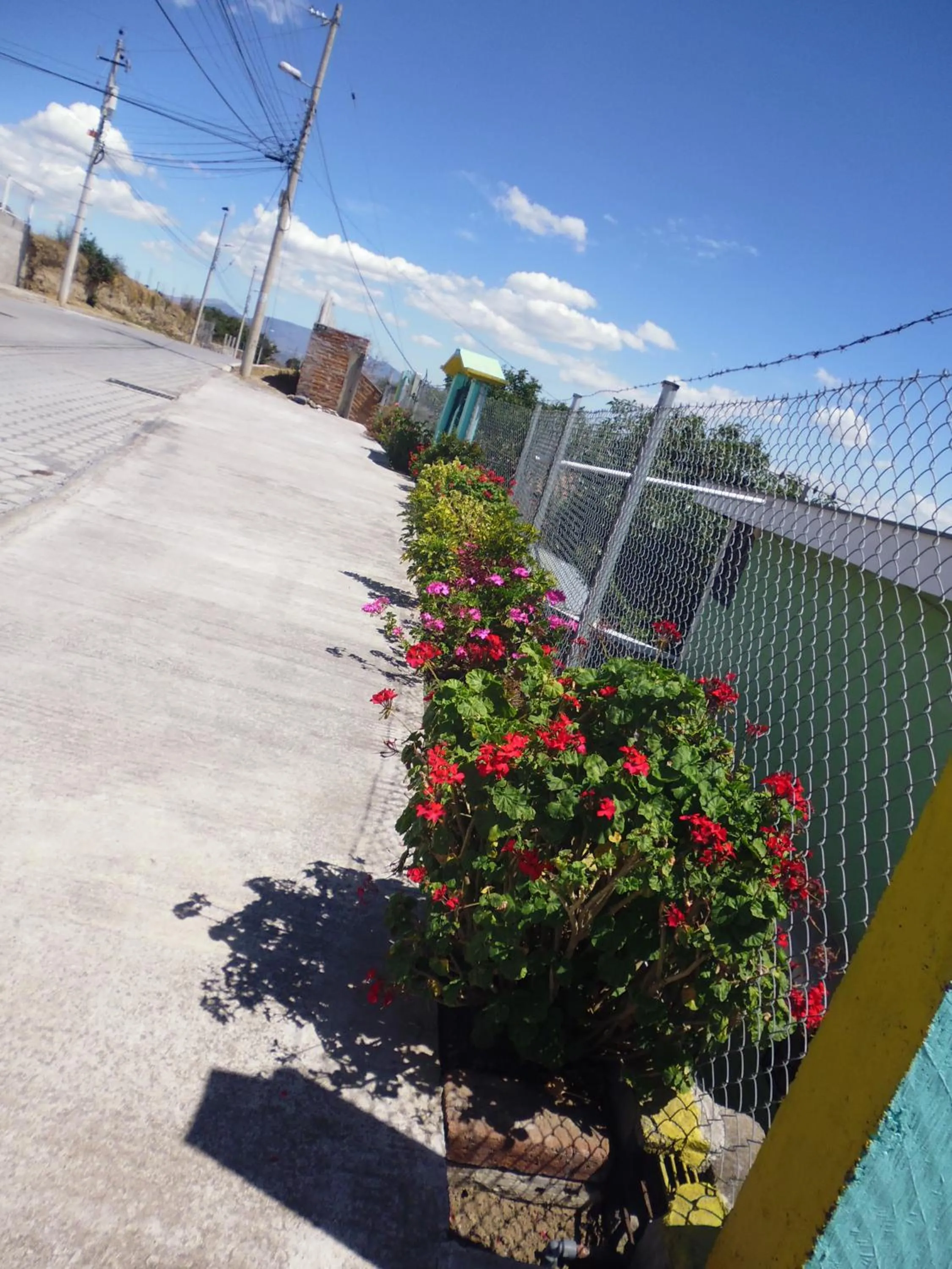 Garden view in Hotel Residencial El Viajero