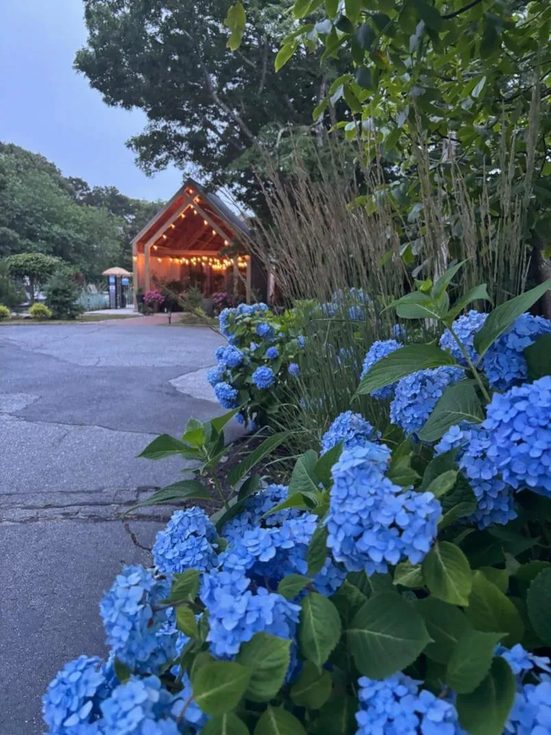 View (from property/room) in Cape Cod Veranda
