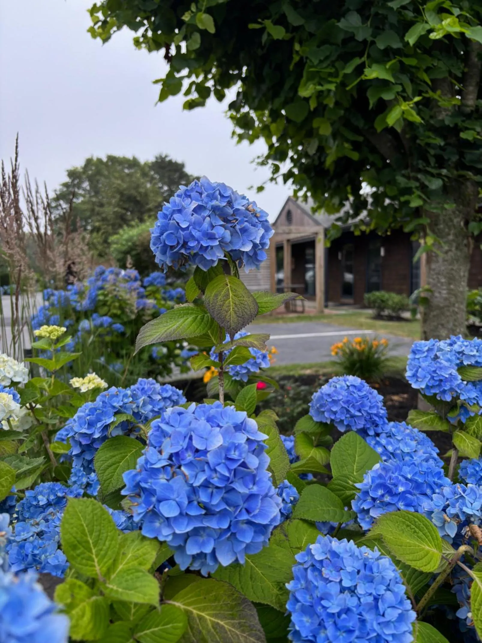 Garden view in Cape Cod Veranda