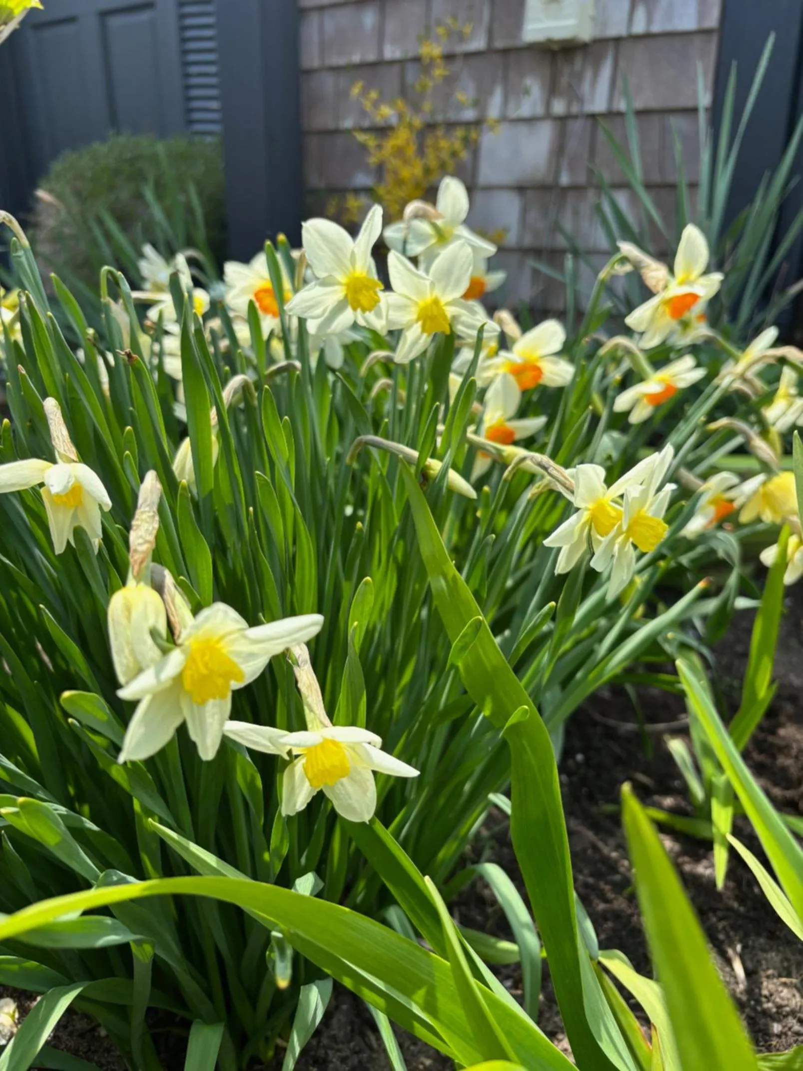 Spring in Cape Cod Veranda