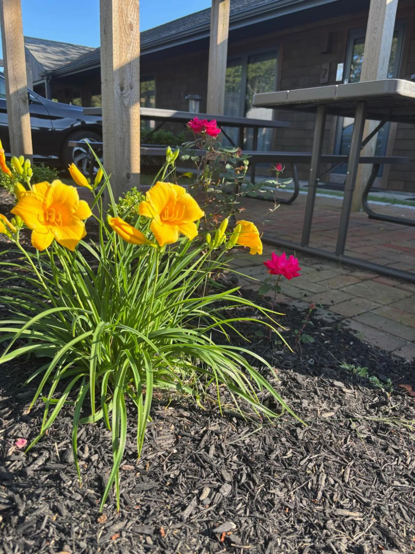 Patio in Cape Cod Veranda