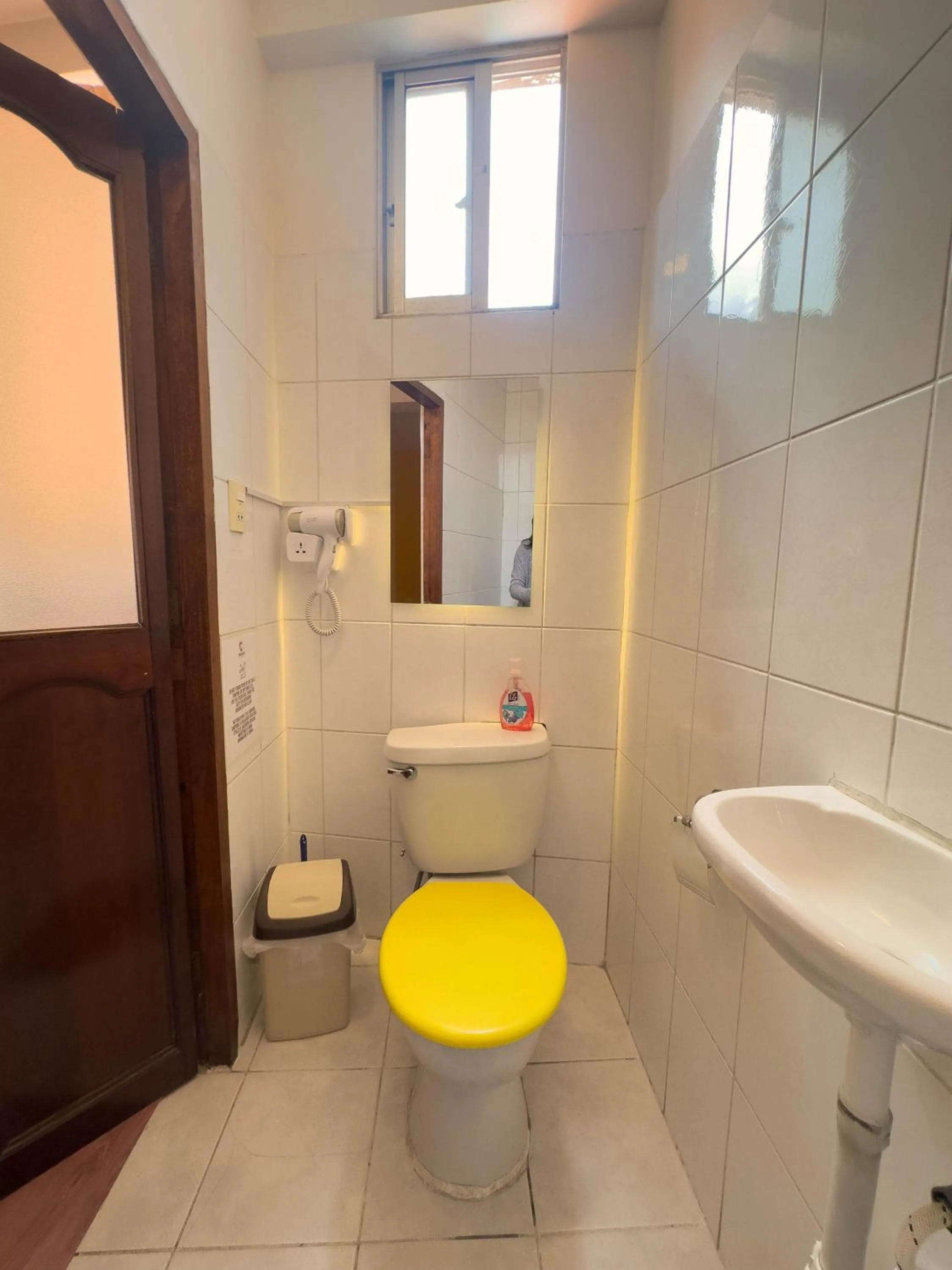 Toilet in Lobo Hostel La Paz