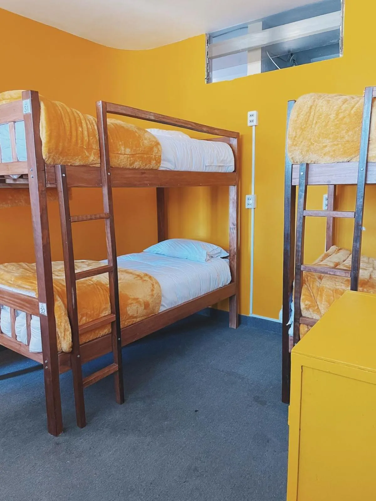 Bedroom, Bed in Lobo Hostel La Paz