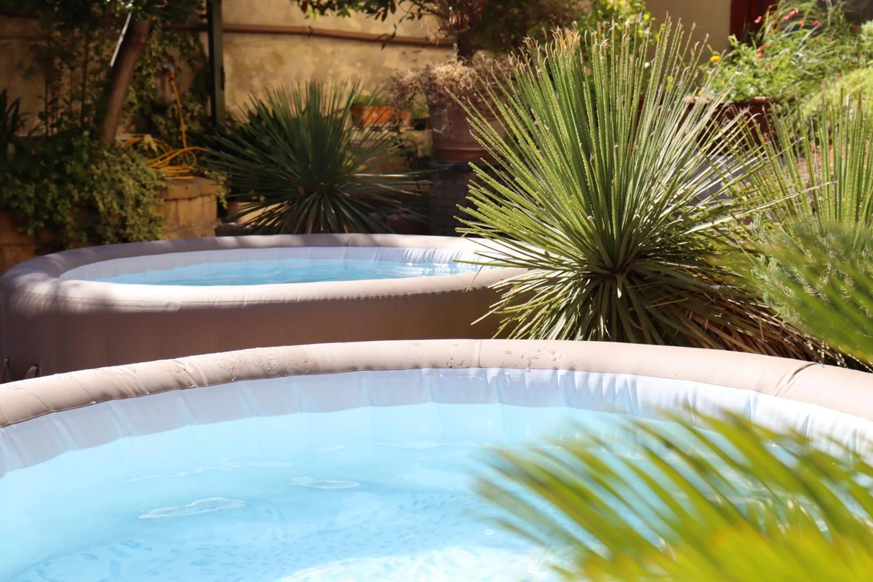 Garden in Hotel Paradiso