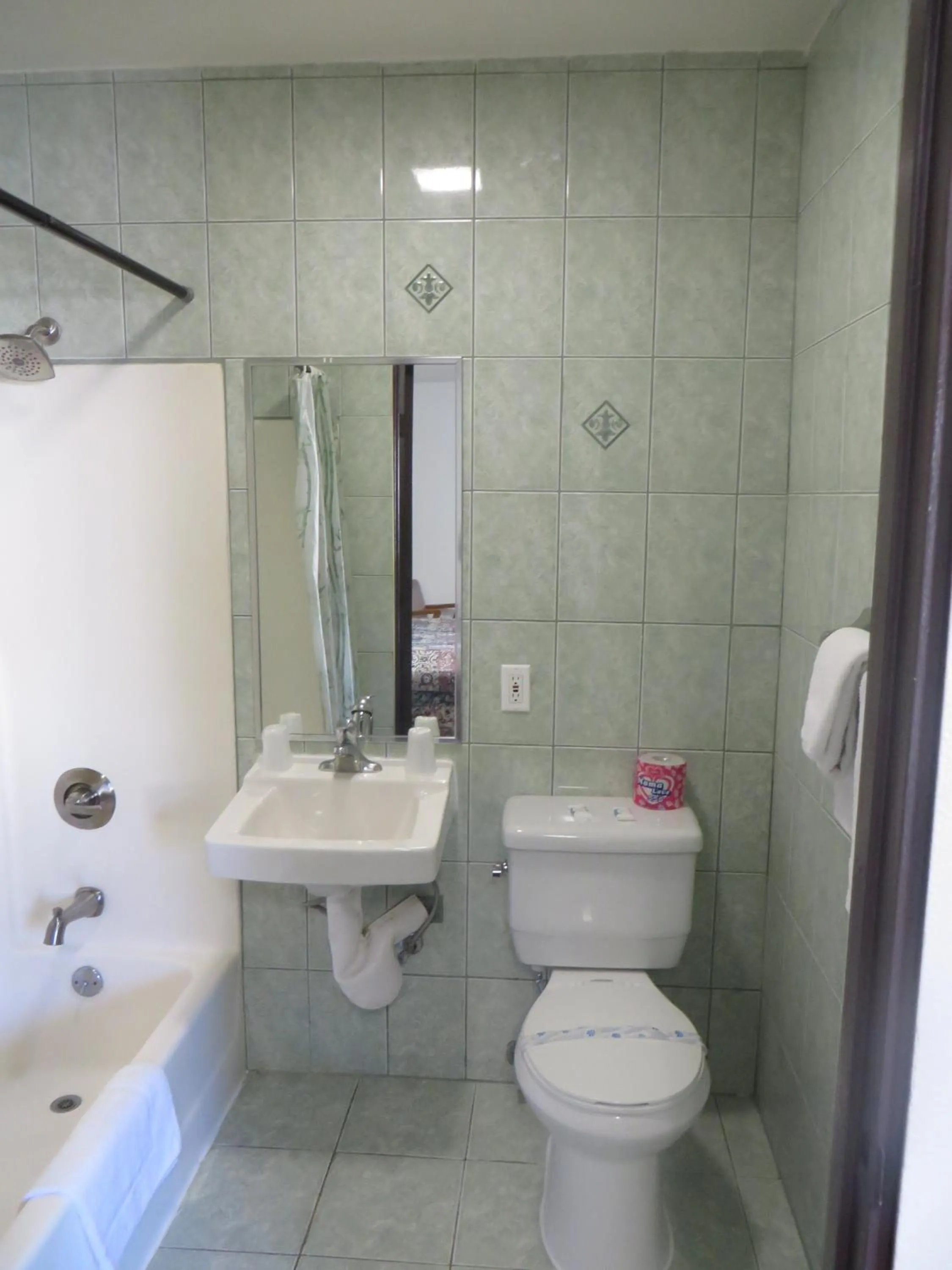 Bathroom in Eagle Rock Motel