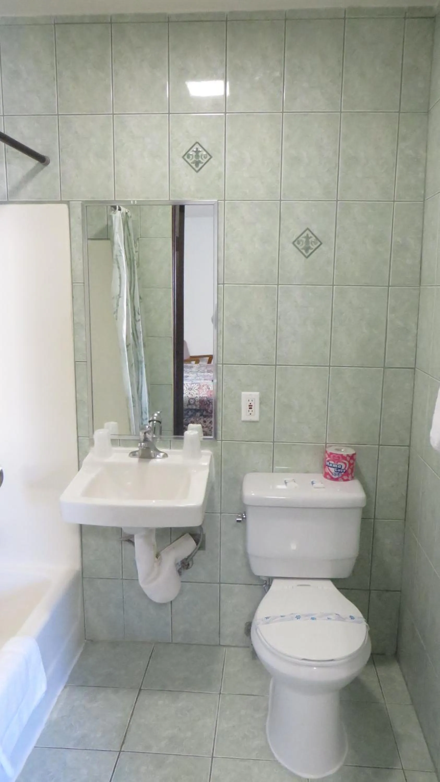 Bathroom in Eagle Rock Motel