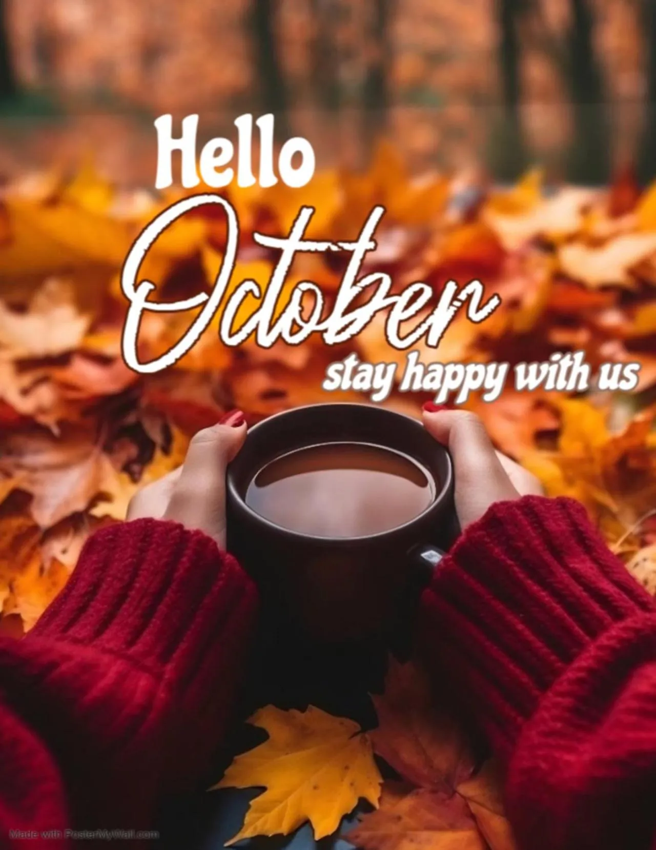 Cairo Paradise Hotel