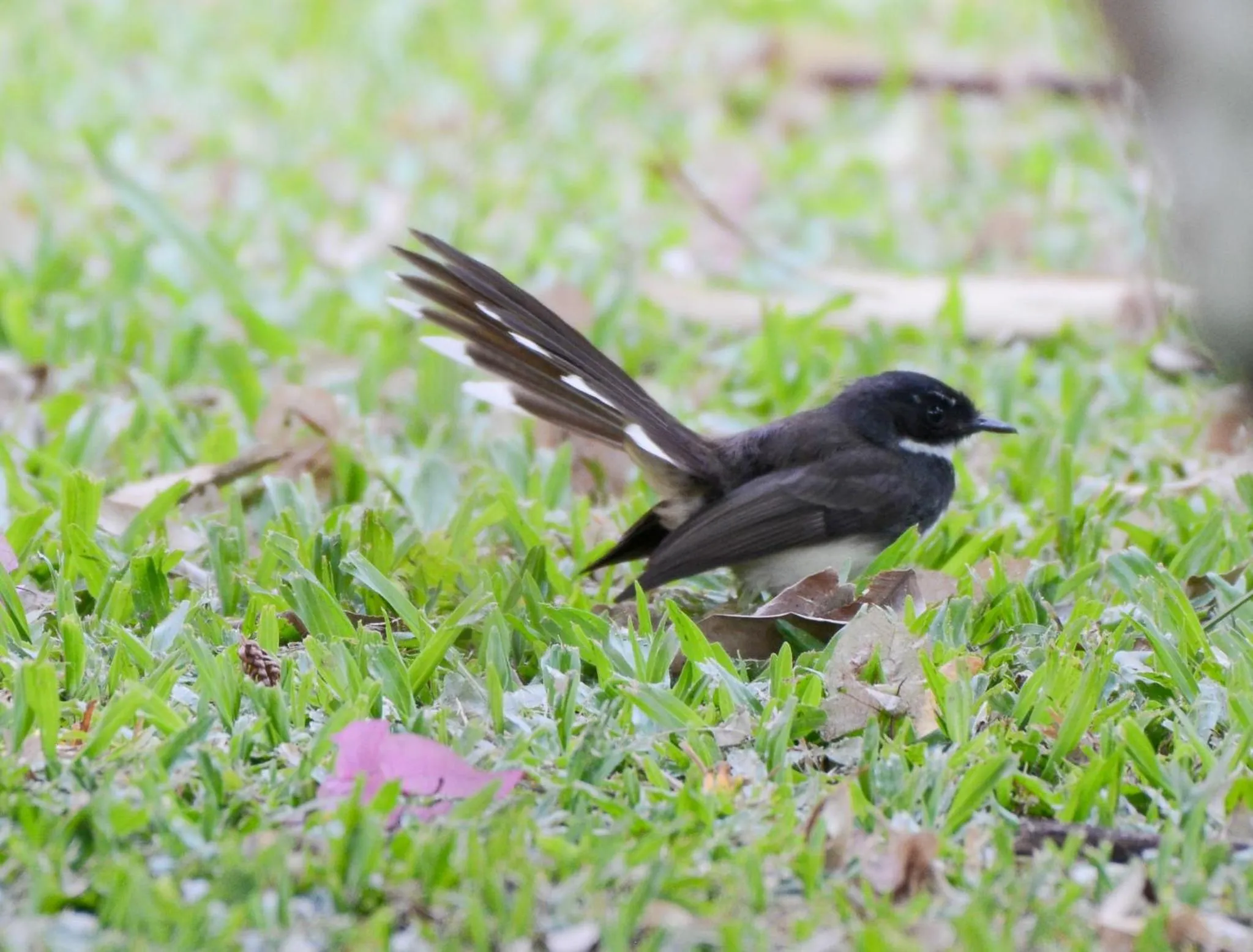 Les Hameaux de l'Orient