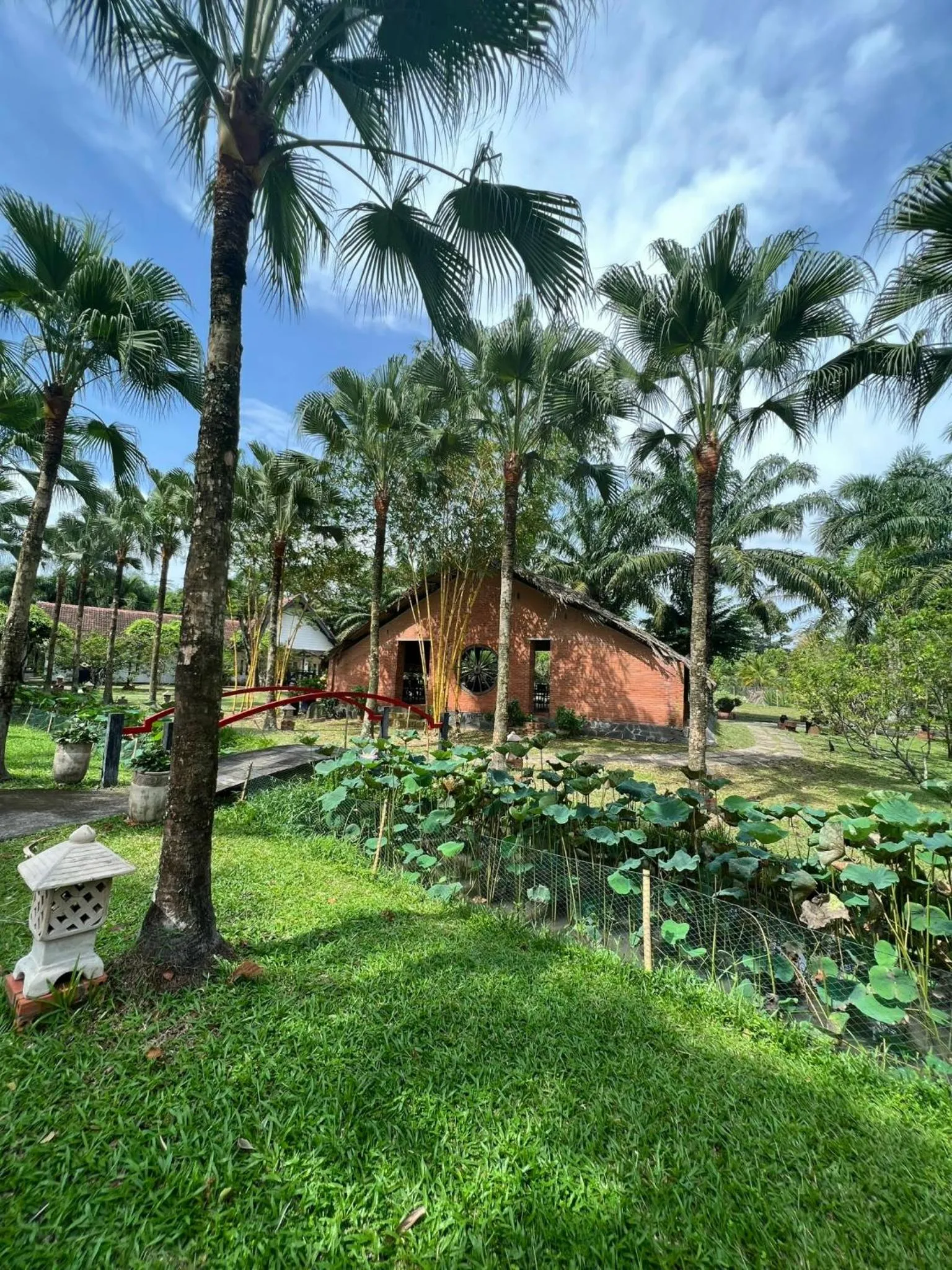 View (from property/room) in Les Hameaux de l'Orient