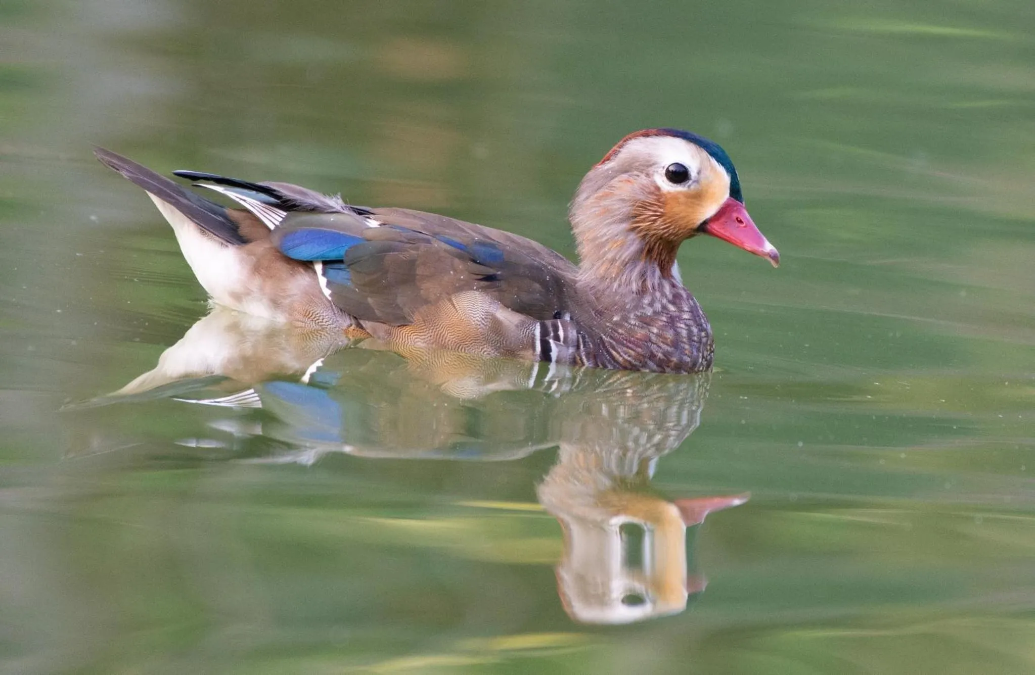 Les Hameaux de l'Orient