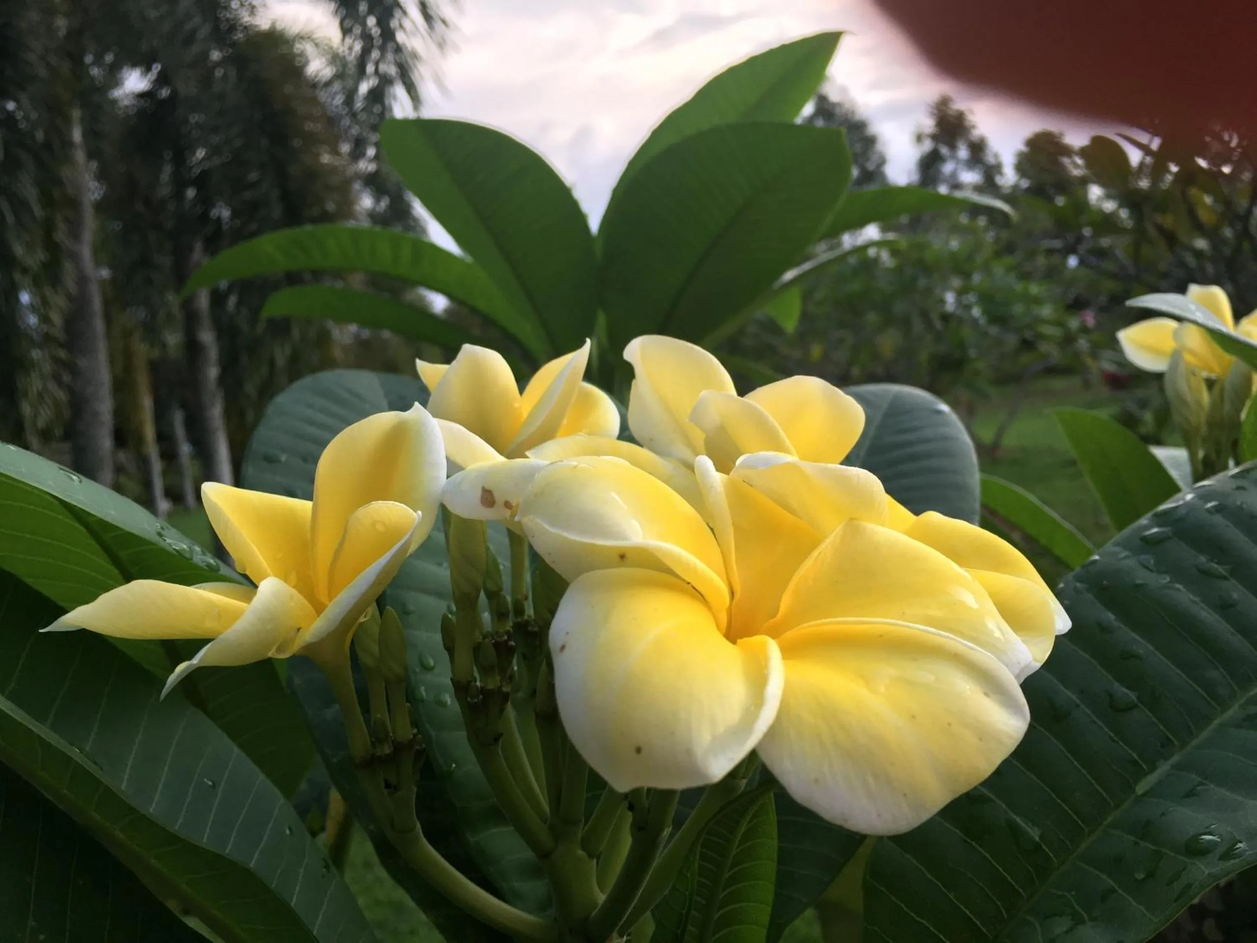 Property building in Les Hameaux de l'Orient