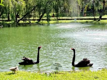 Natural landscape in Les Hameaux de l'Orient