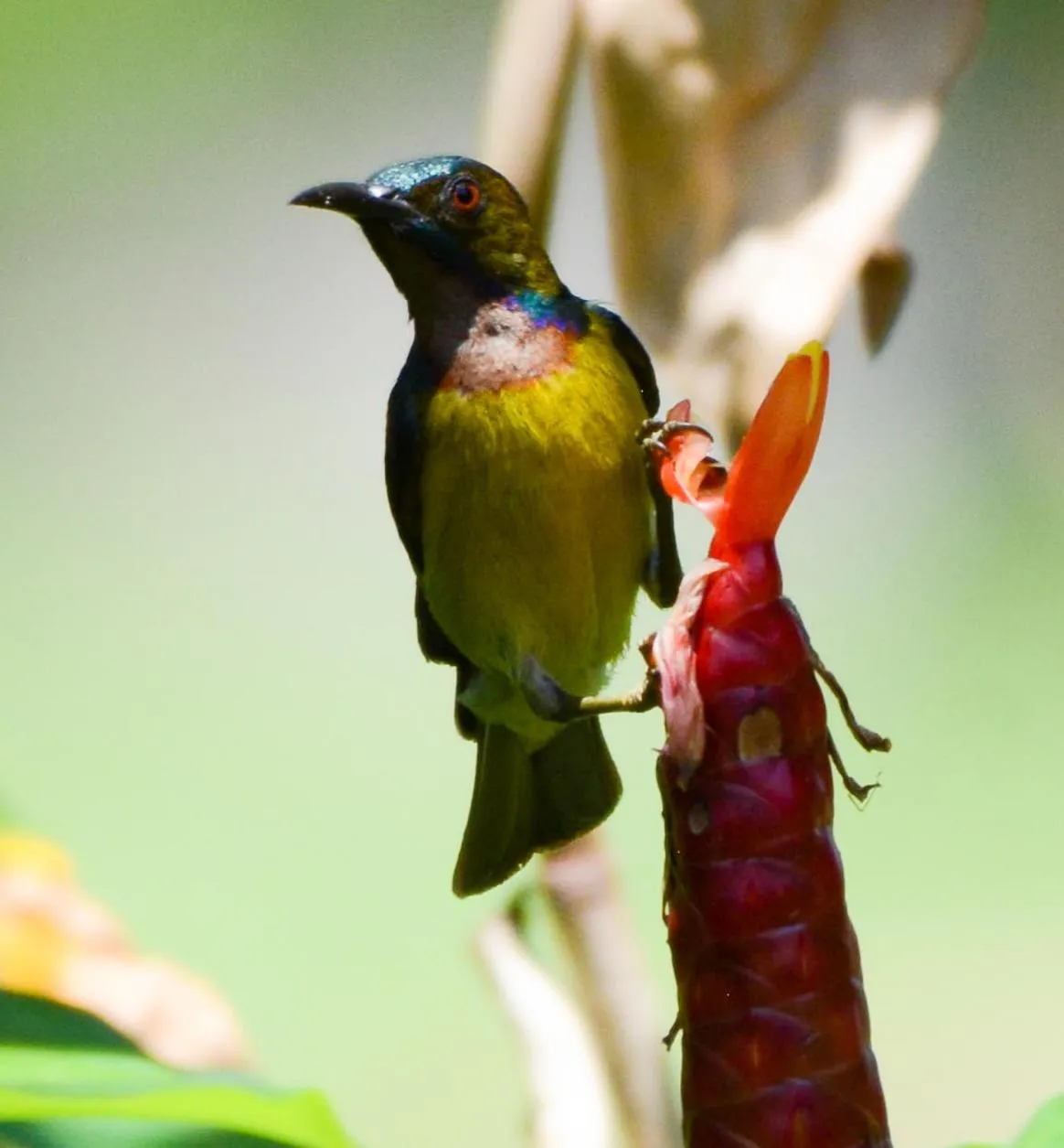 Les Hameaux de l'Orient