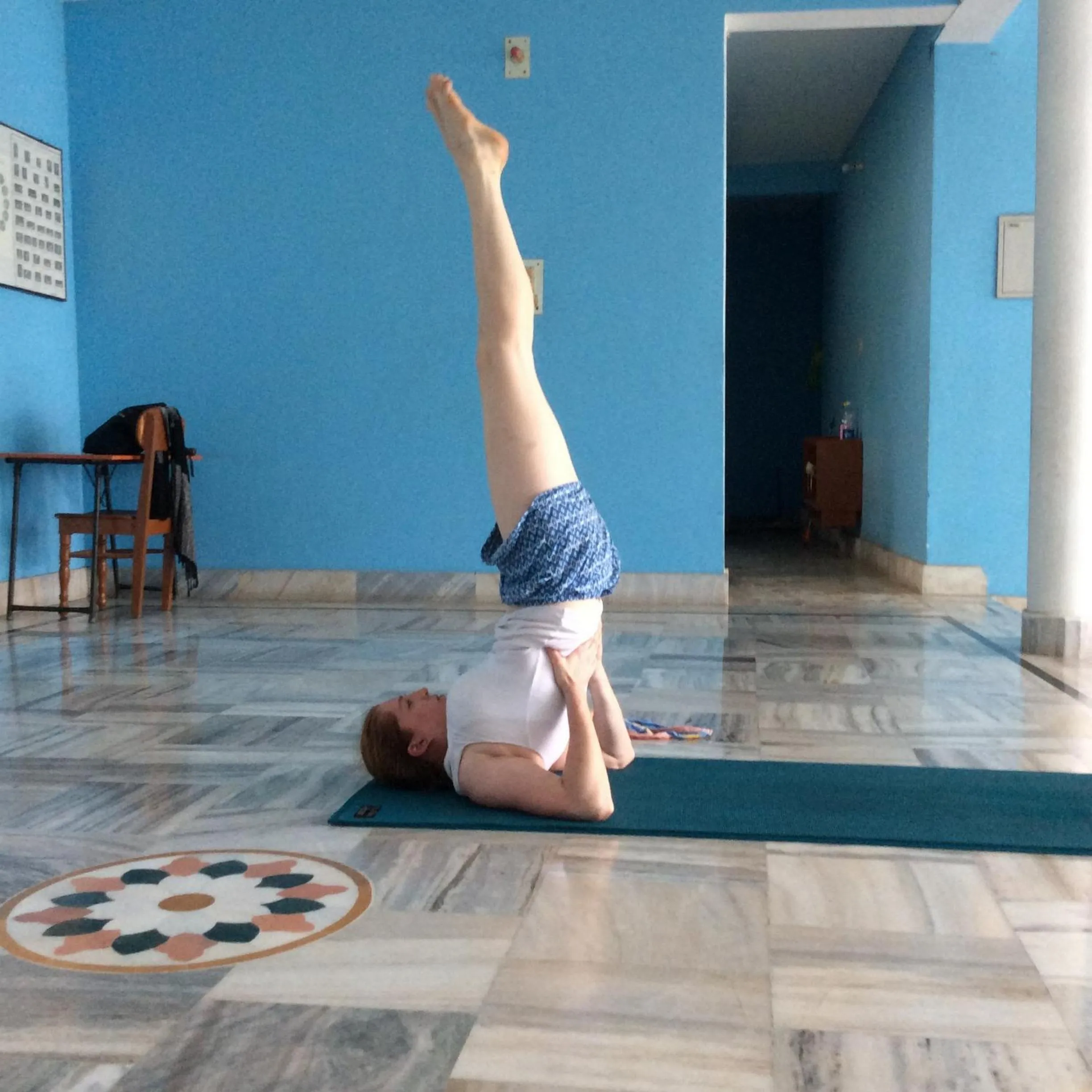 Animals in Sri Yoga Mandir