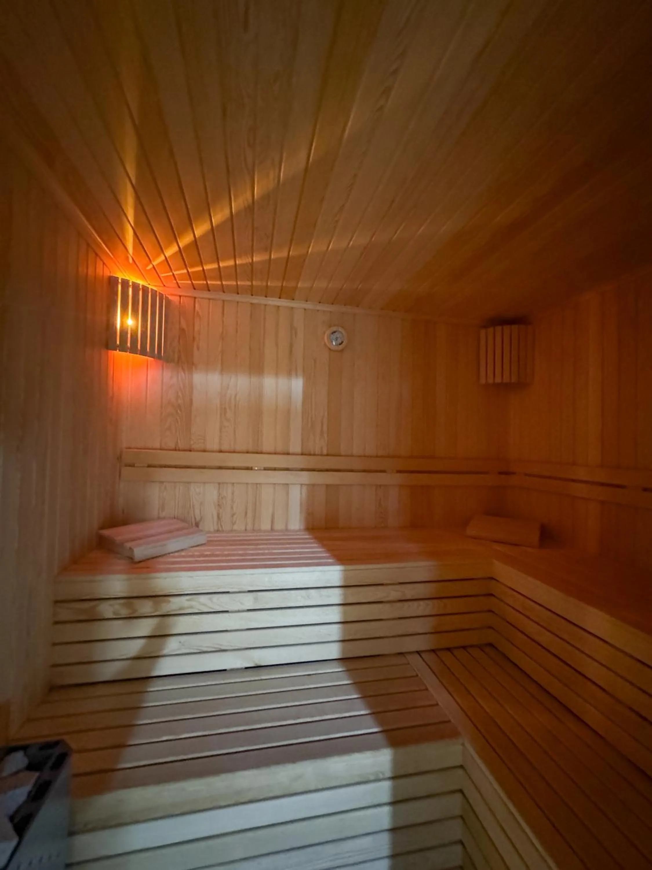 Sauna, Bed in Çelik Thermal & Spa