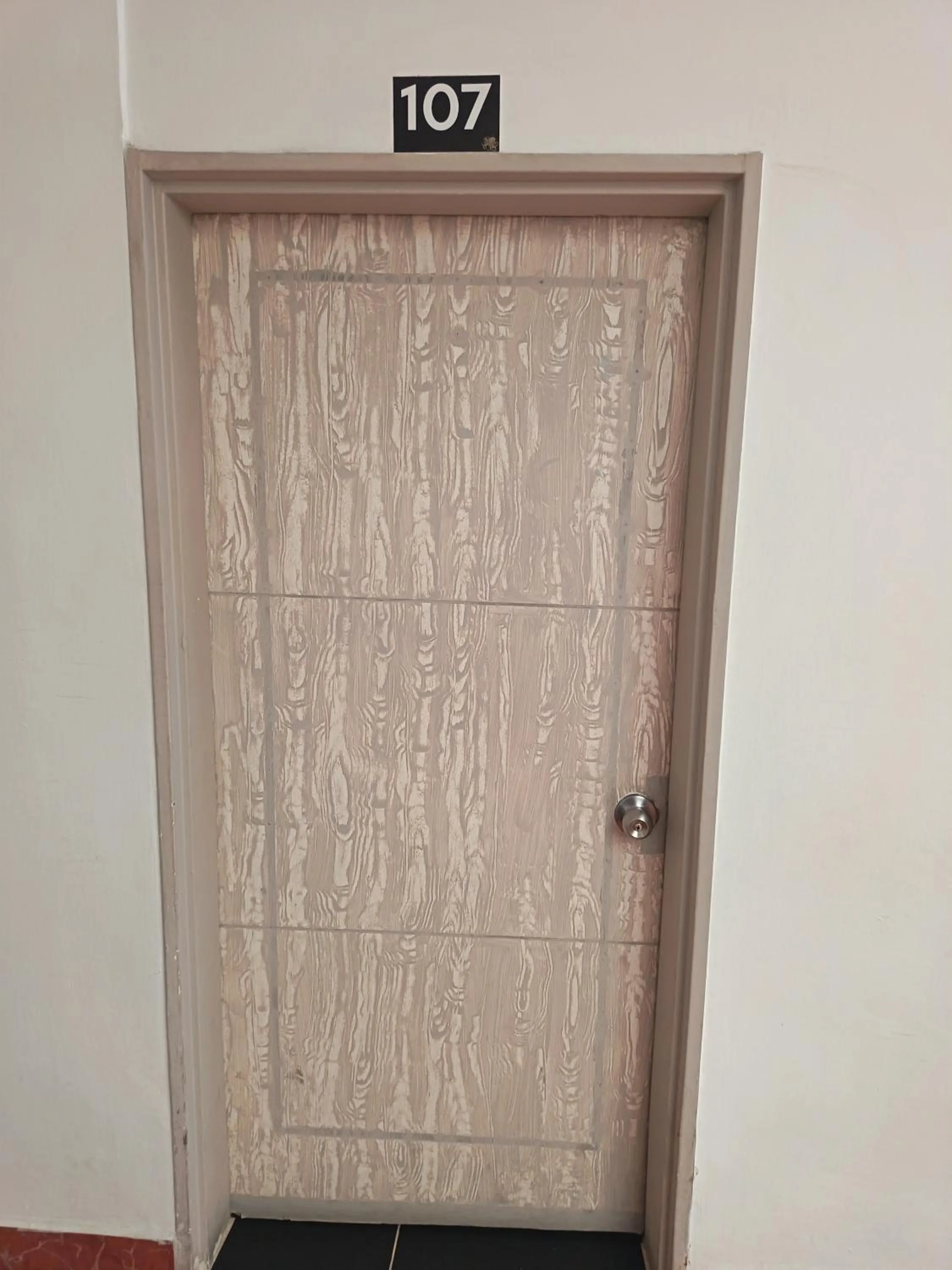 Area and facilities in Hotel Confort Boutique