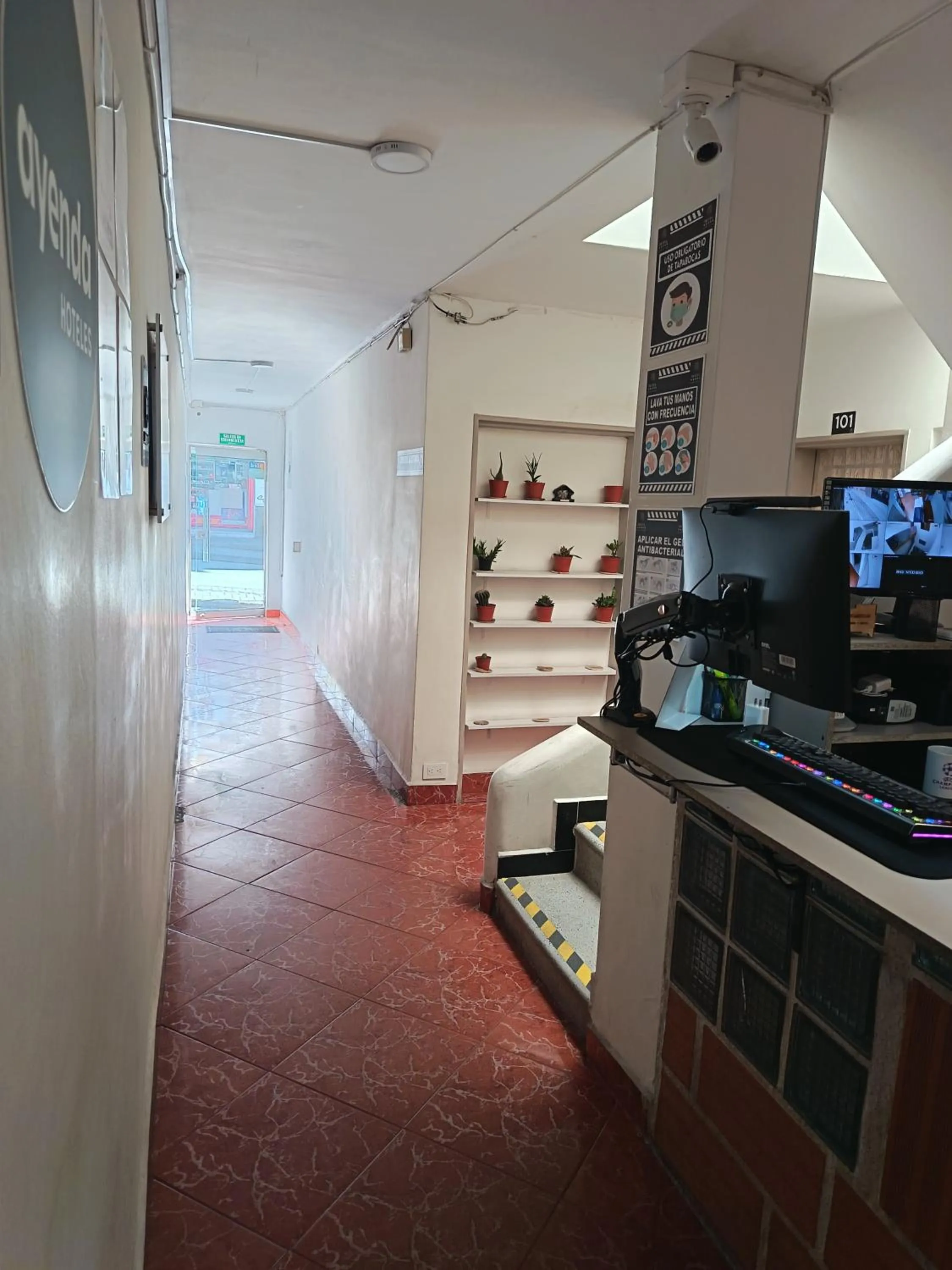 Area and facilities in Hotel Confort Boutique