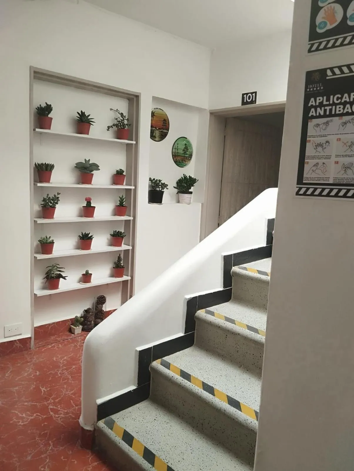 Area and facilities in Hotel Confort Boutique