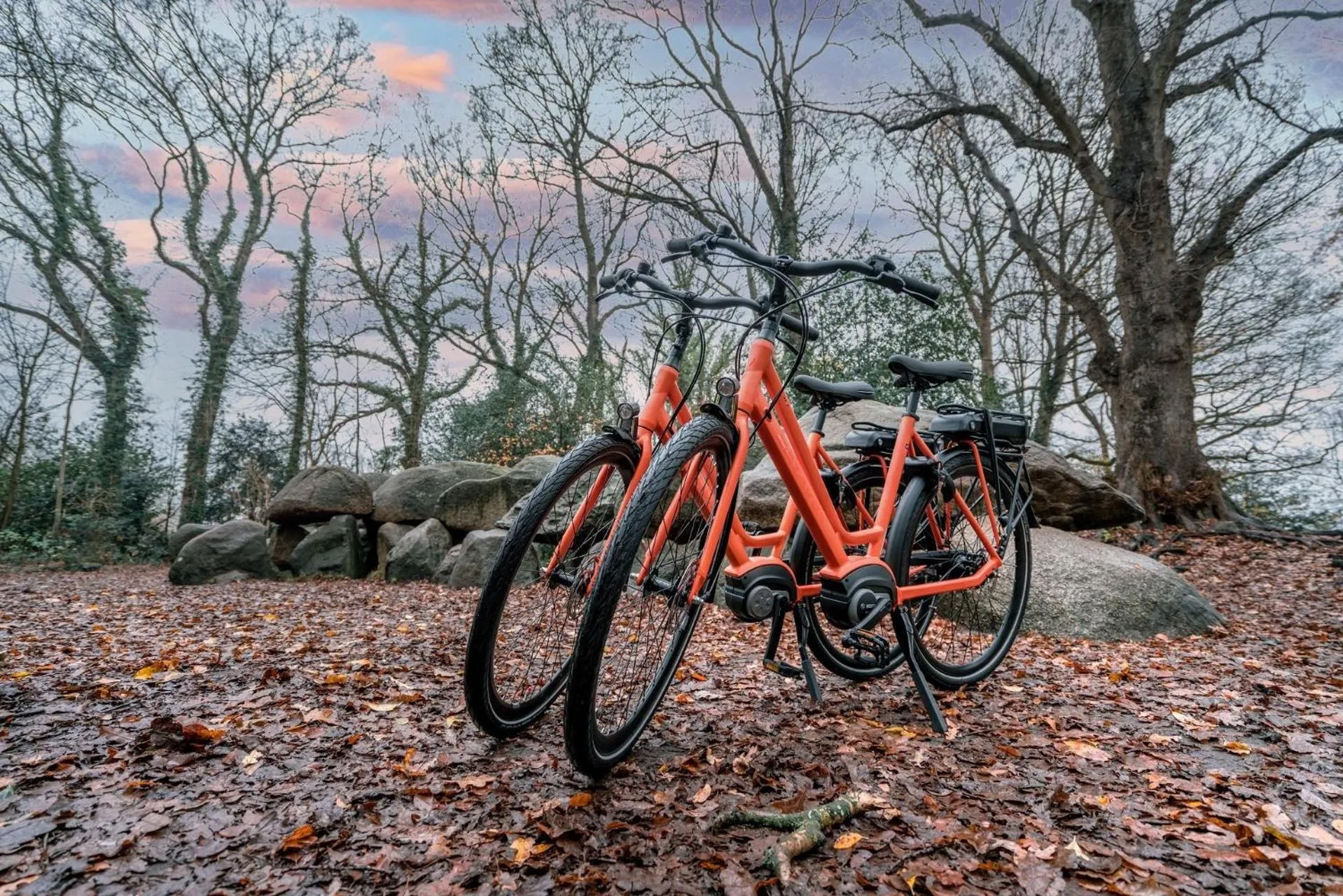 Area and facilities in Van der Valk Hotel Emmen