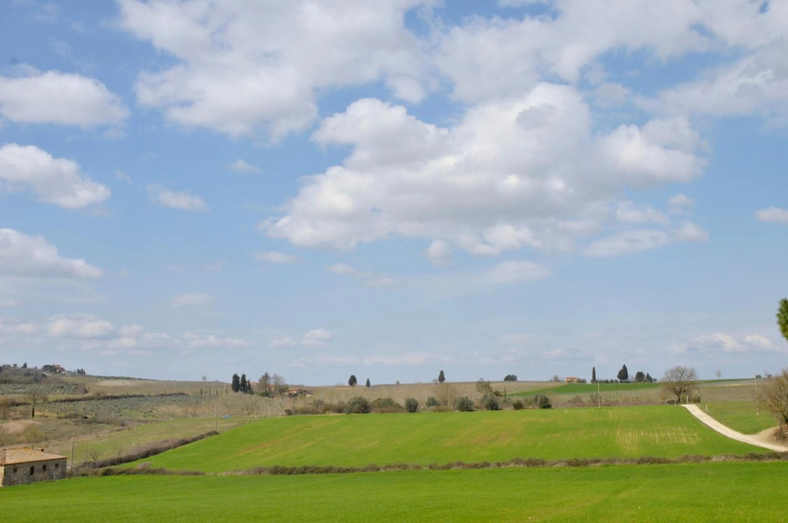 Day in Podere Lornanino