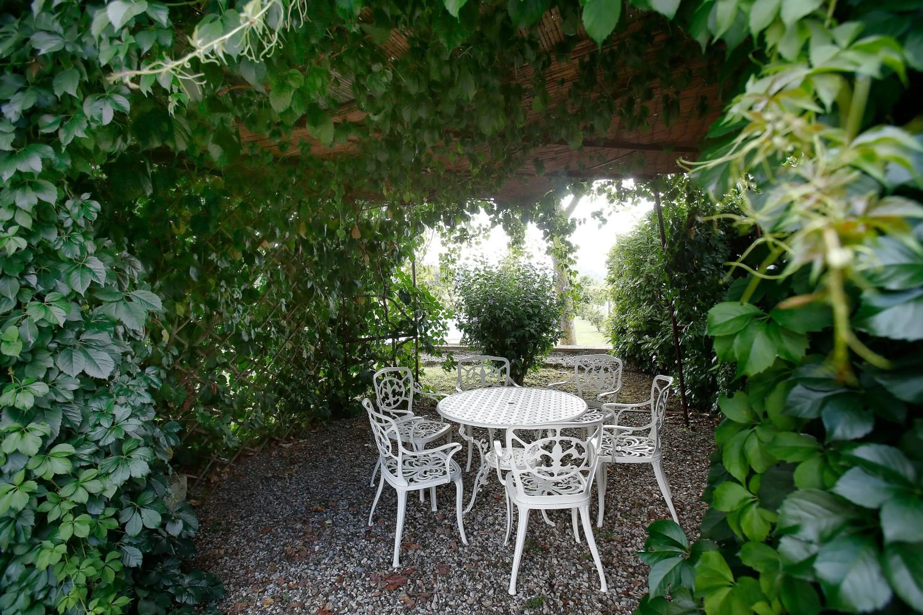 Patio in Podere Lornanino
