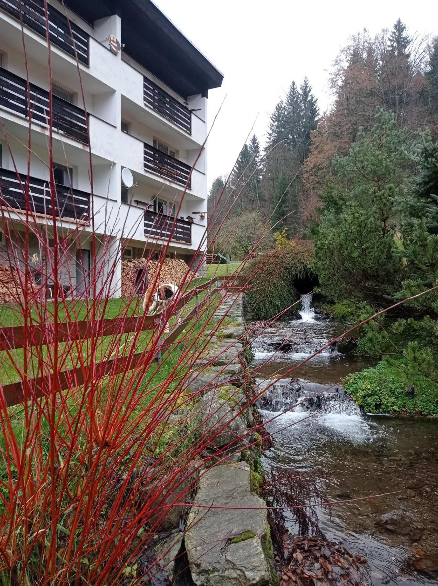 Garden in Horský apartmán Krkonoše