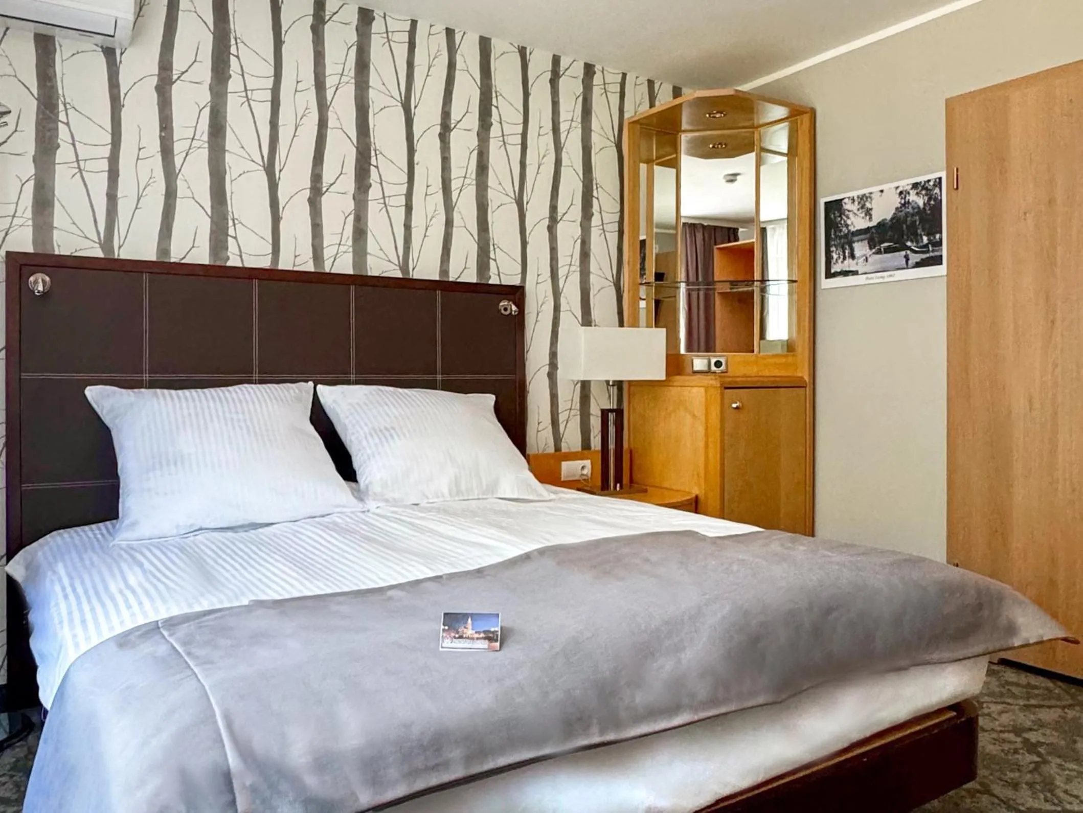 Standard Double Room - single occupancy in Hotel Malinowski Leśny