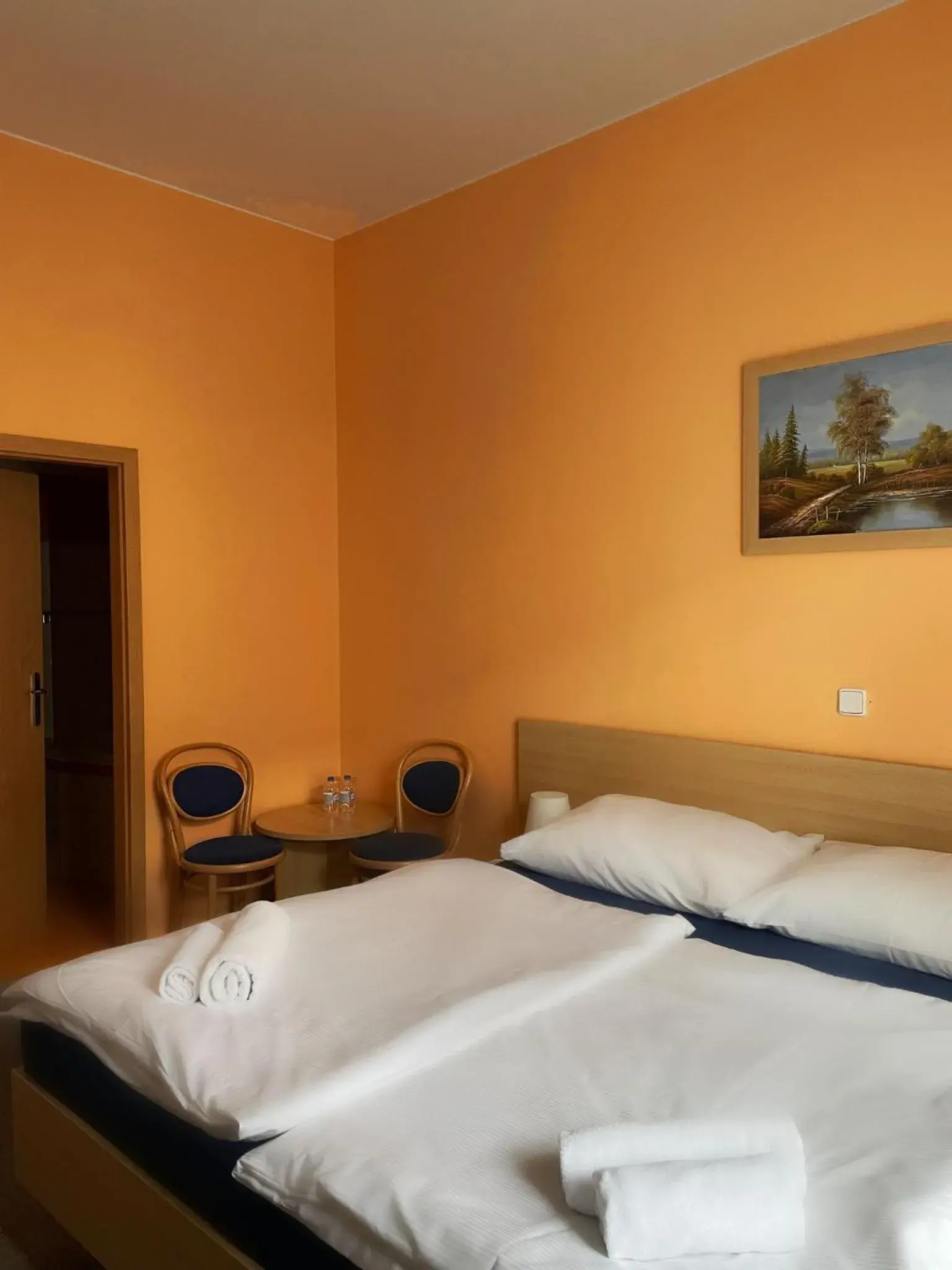 Double Room - single occupancy in Hotel Pod Zámkem Double Room - single occupancy in Hotel Pod Zámkem