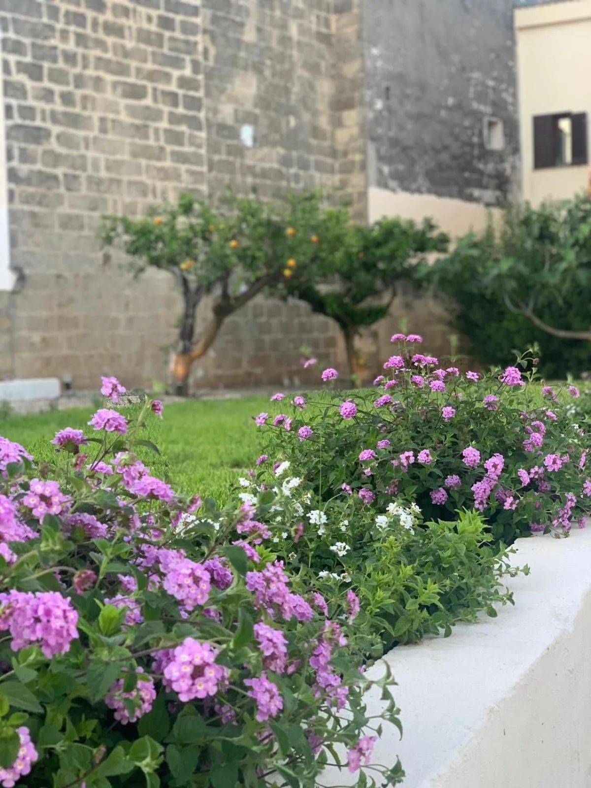 Garden in Corte Mercurio B&B