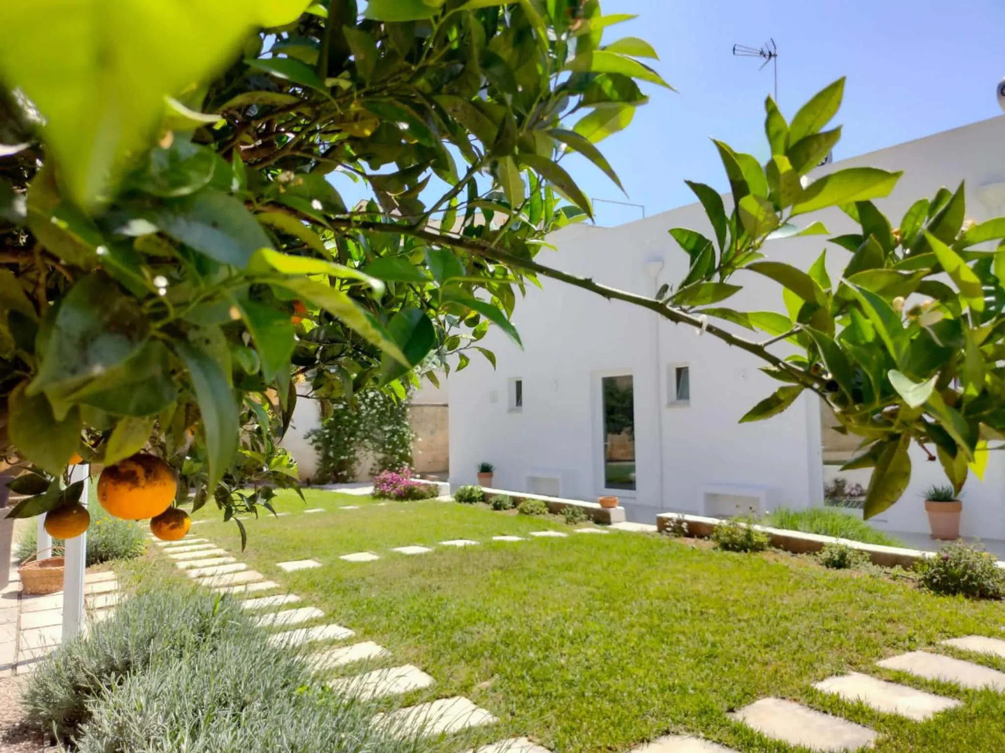 Spring in Corte Mercurio B&B