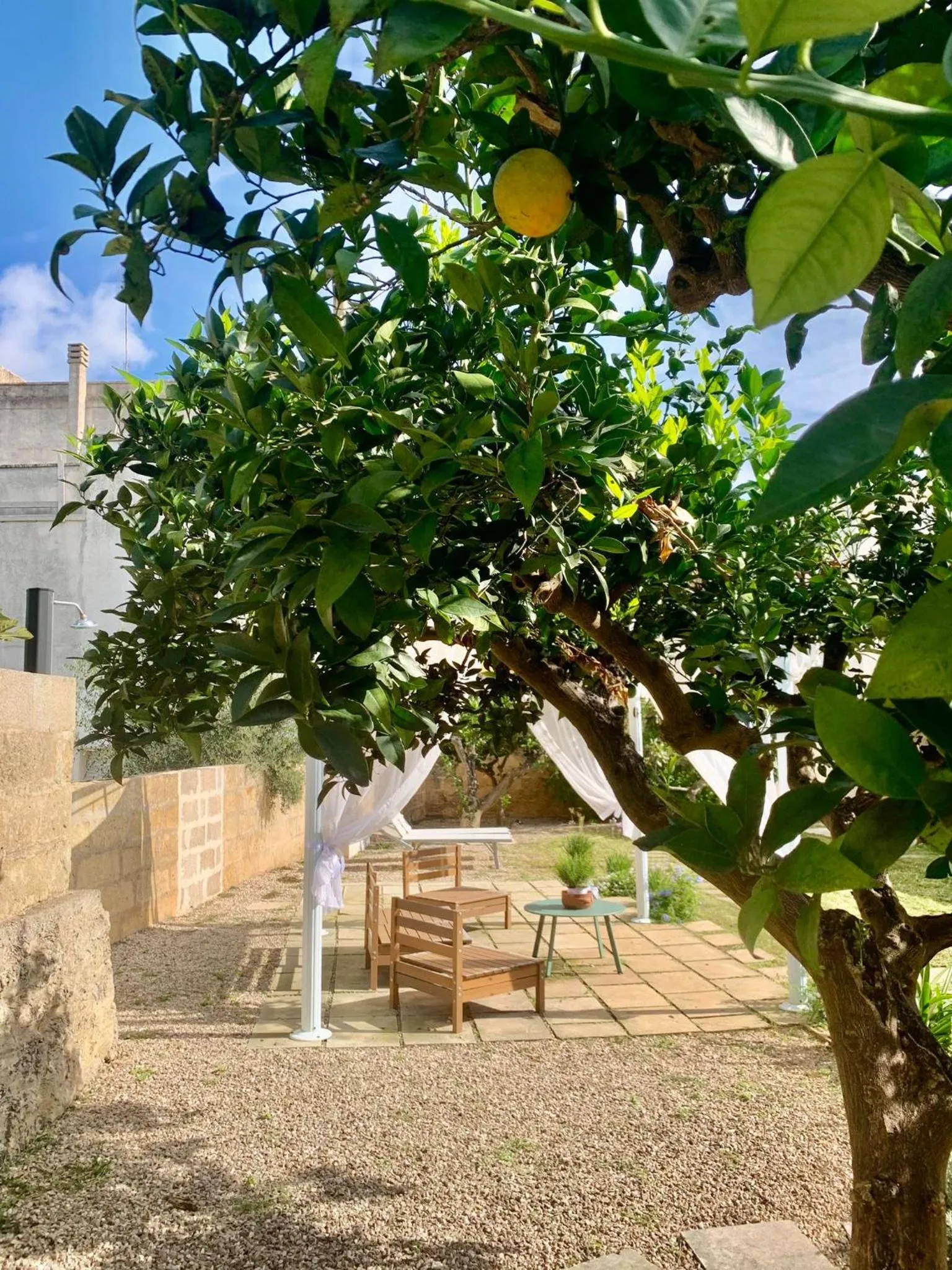 Garden in Corte Mercurio B&B