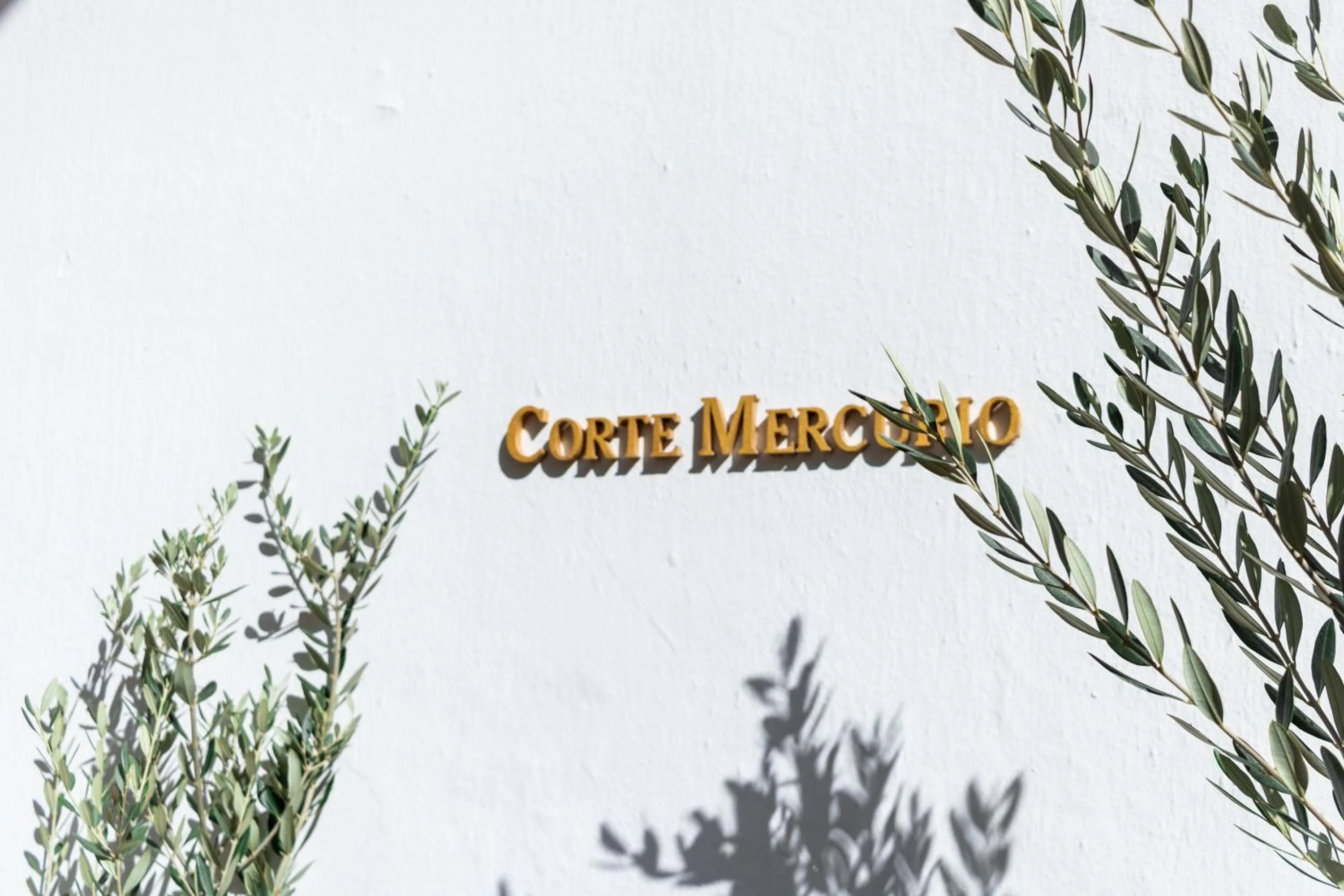 Property building in Corte Mercurio B&B