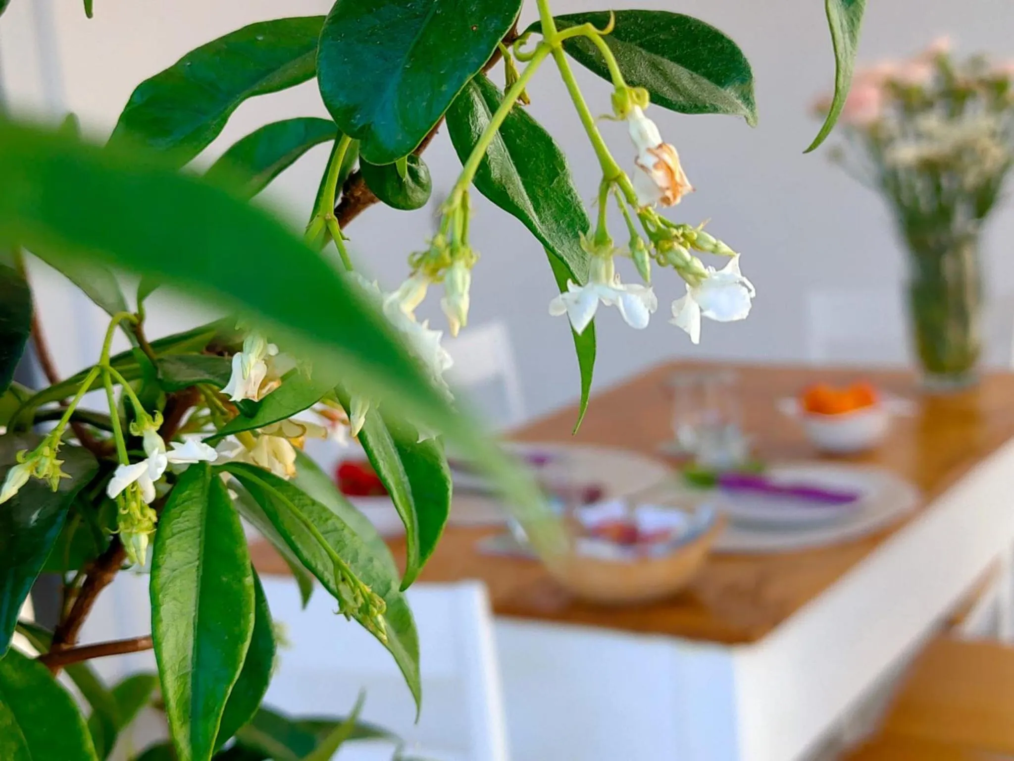 Garden in Corte Mercurio B&B