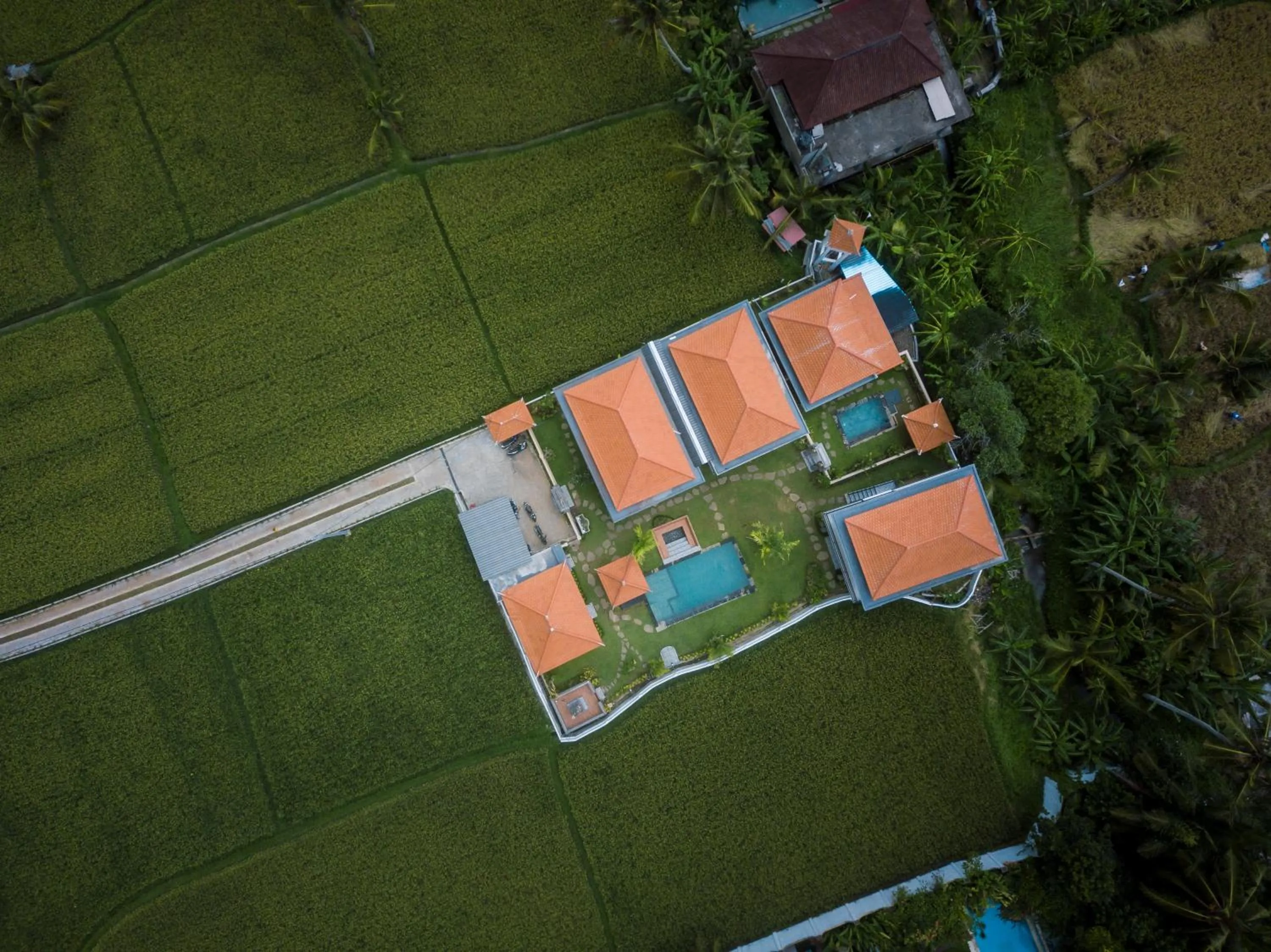 Natural landscape in The Patra Ubud