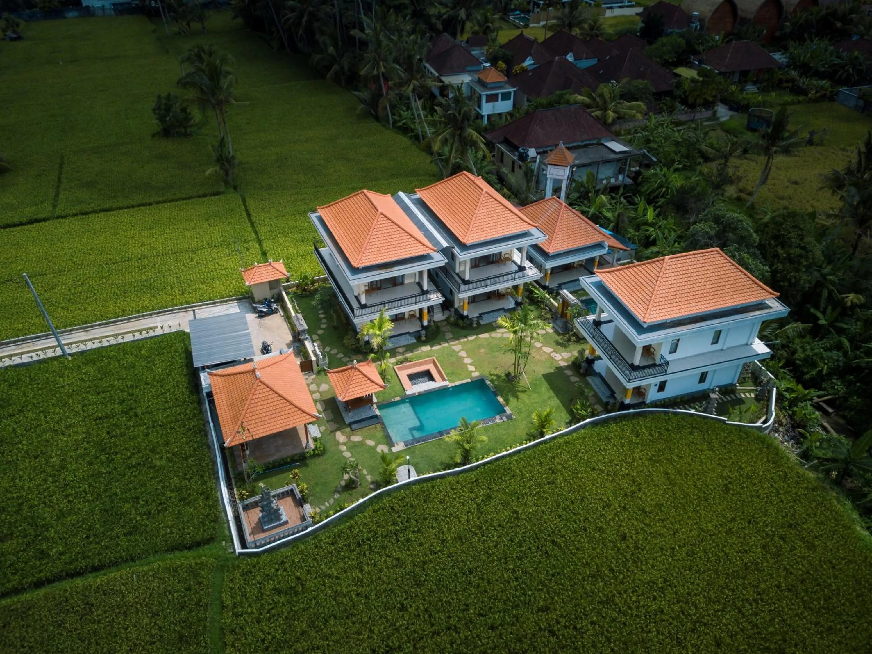 Natural landscape in The Patra Ubud