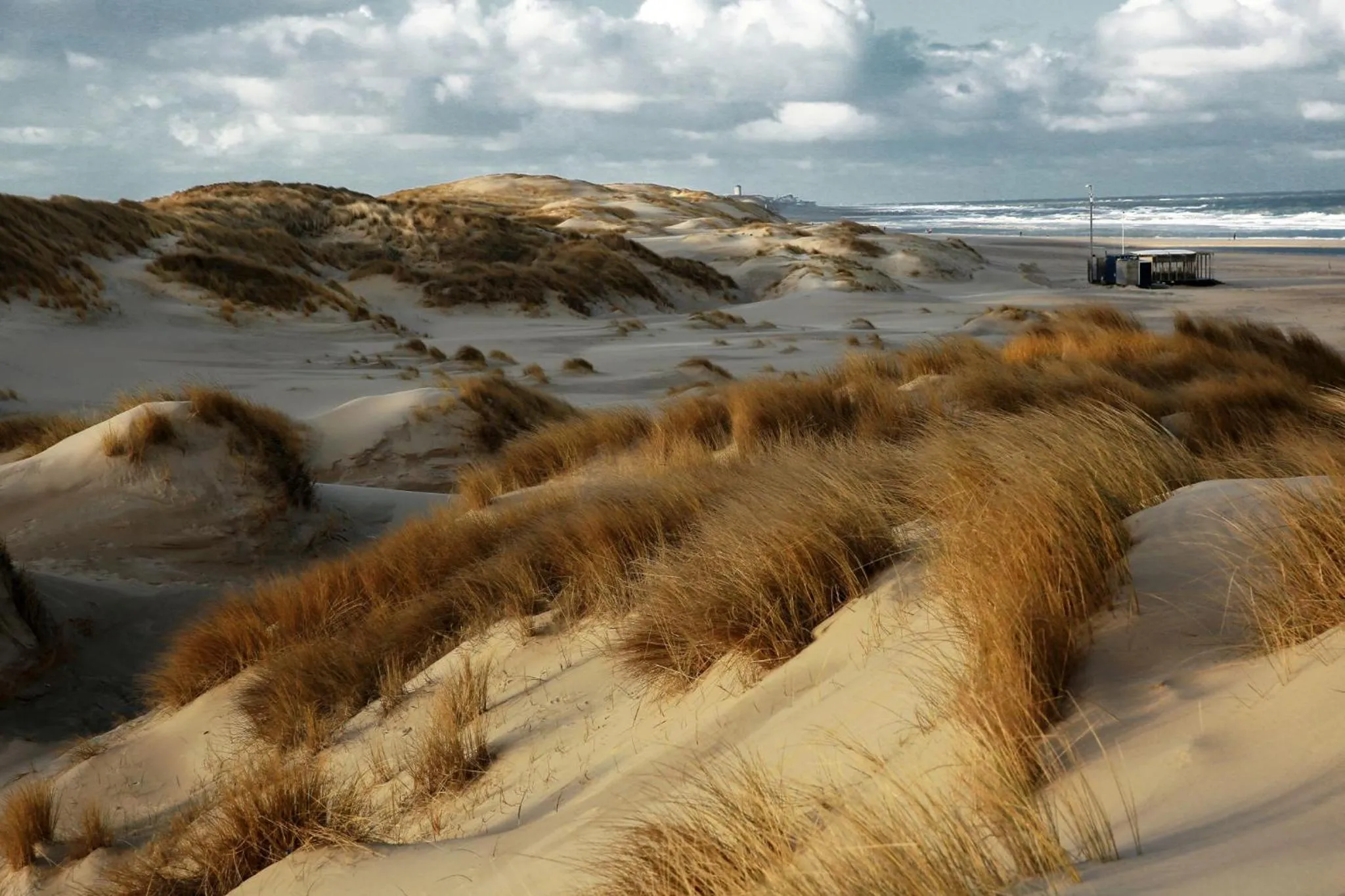 Beach in Buitenplaats Iepenoord