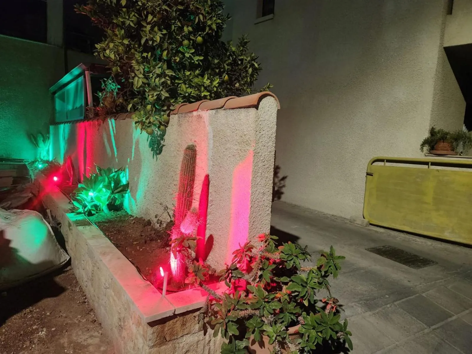 Garden in La Hacienda Cyprus