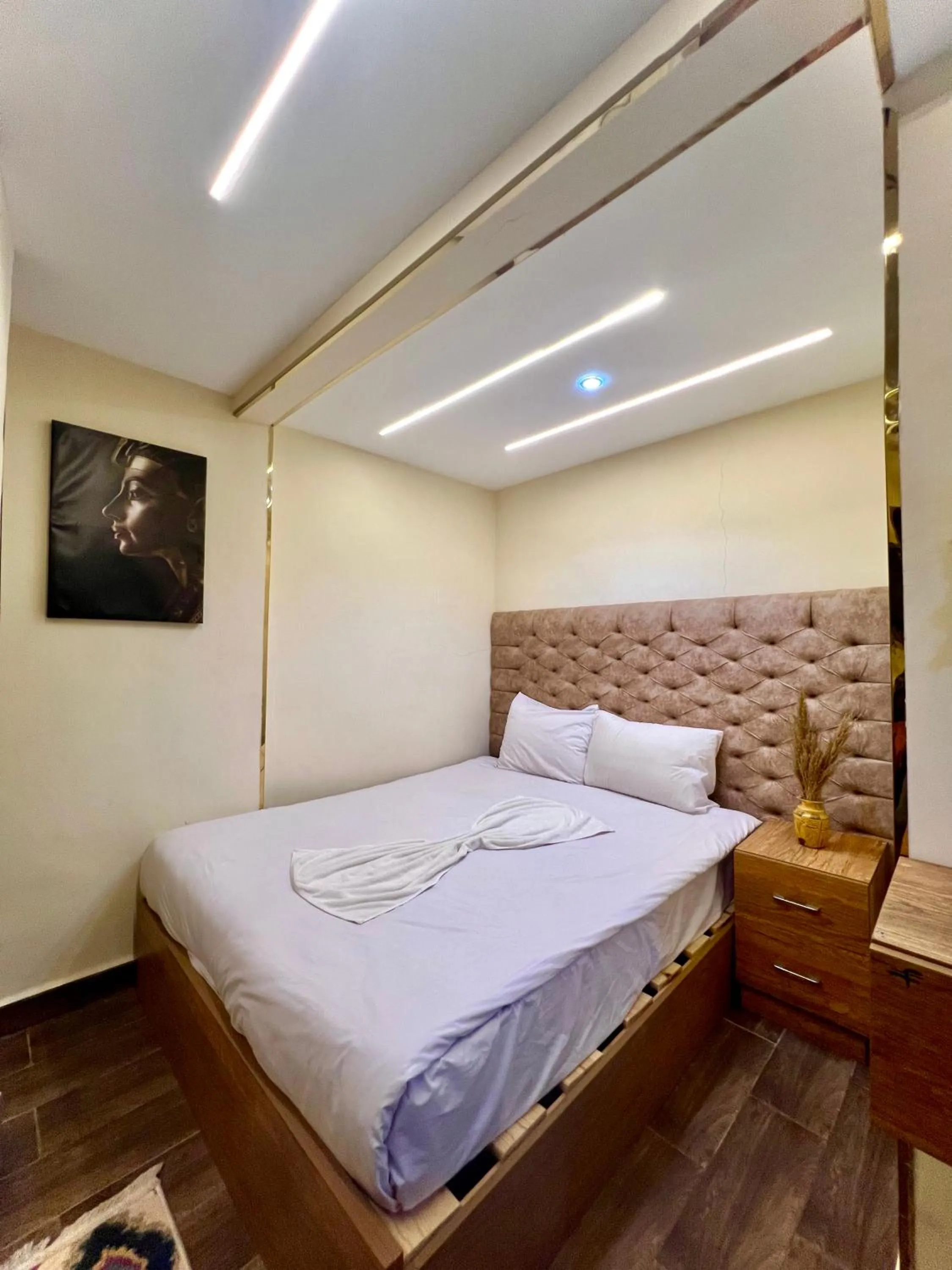 Deluxe Double Room - single occupancy in Farsha Pyramids Inn