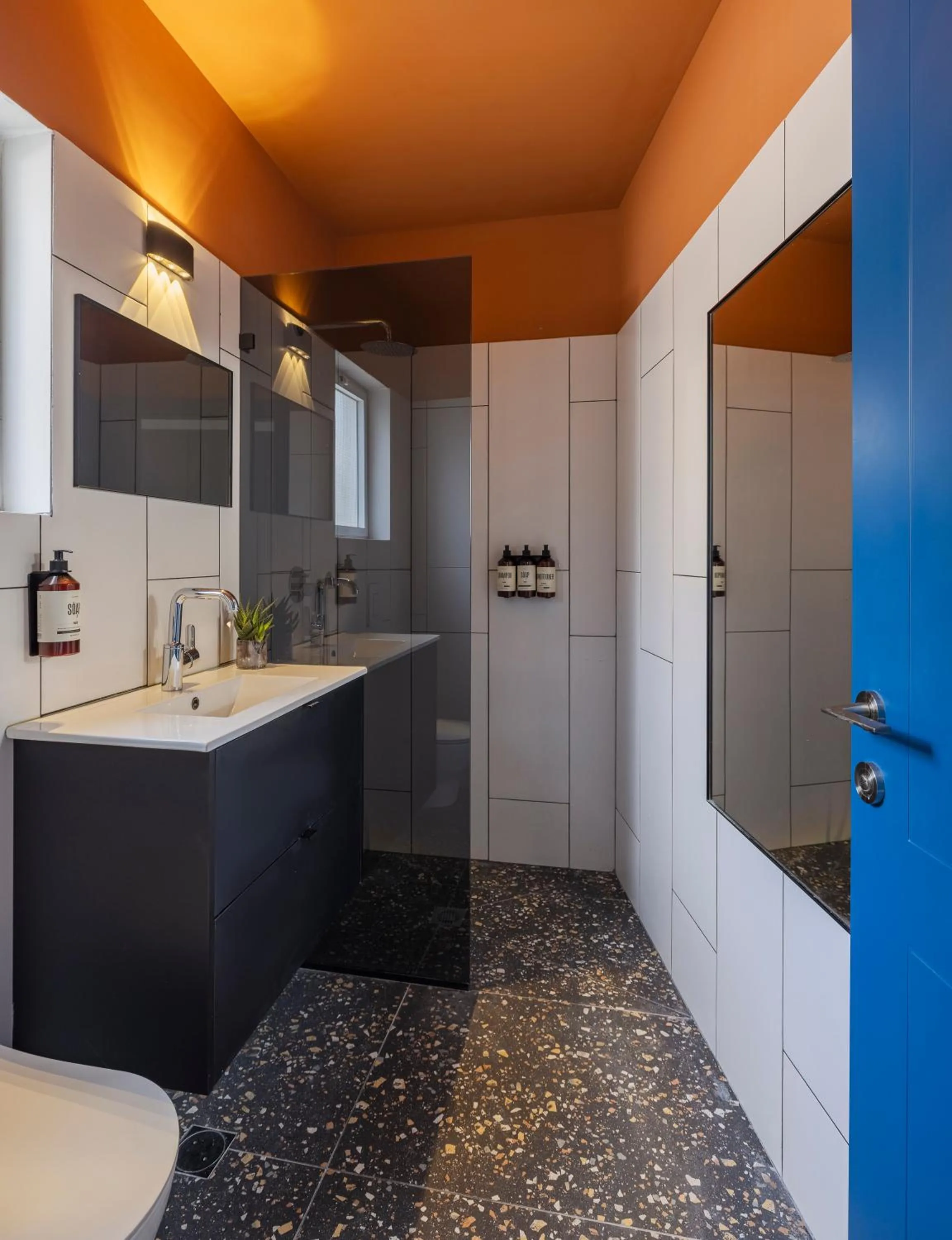Shower in Albi Florentin - Traveler's Choice 2025