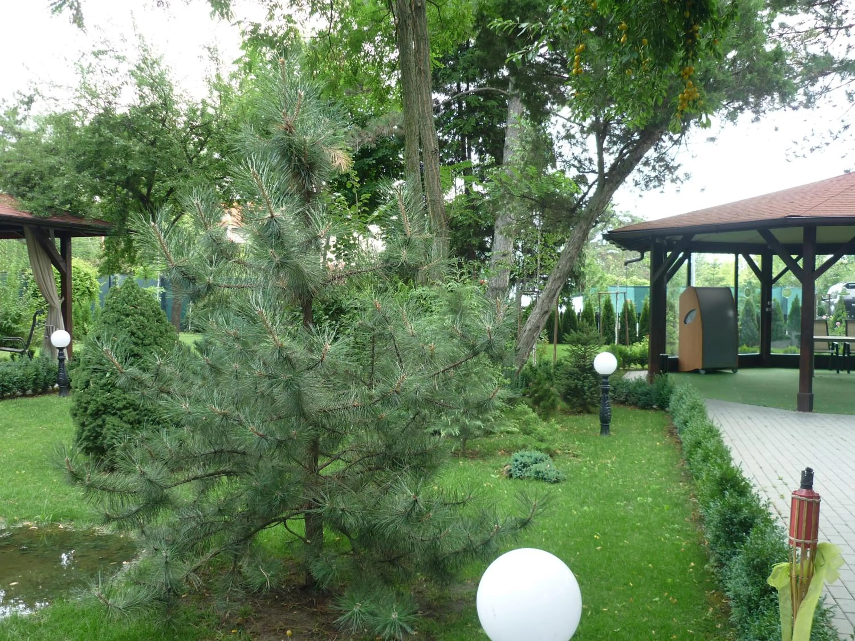 Garden in Hotel Baneasa Parc