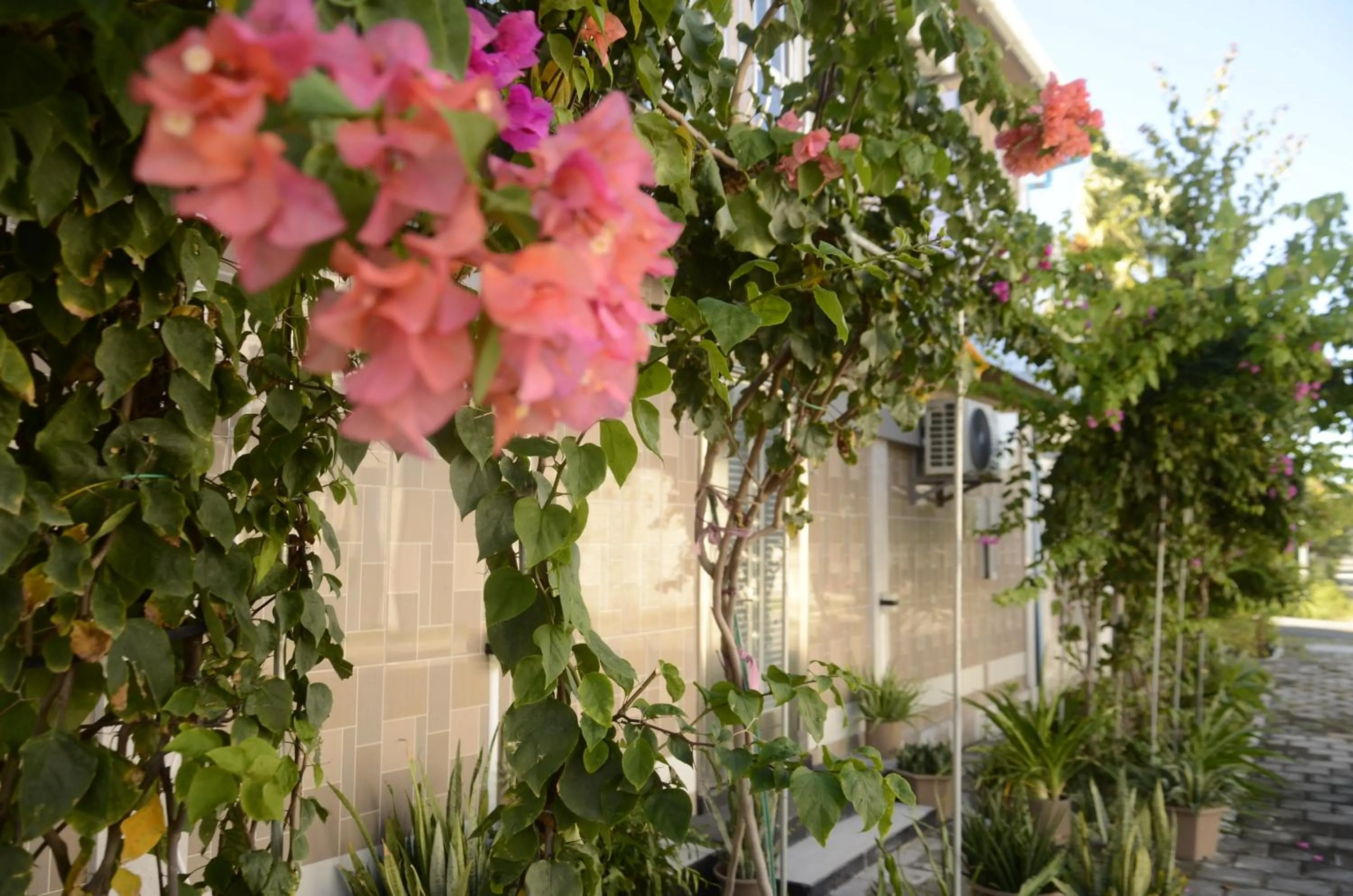 Isle inn {Fuvahmulah)