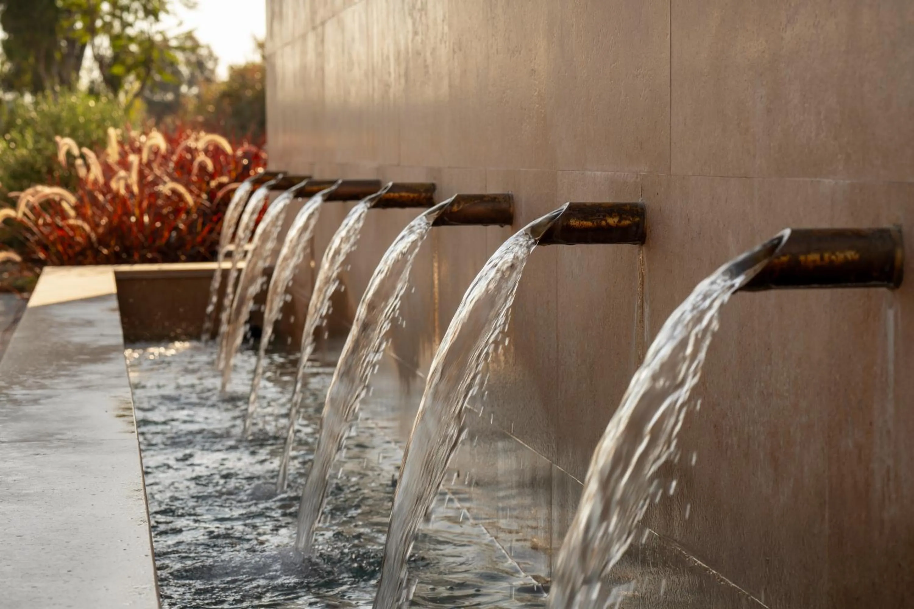 Garden in The Ritual, A Wellness Retreat