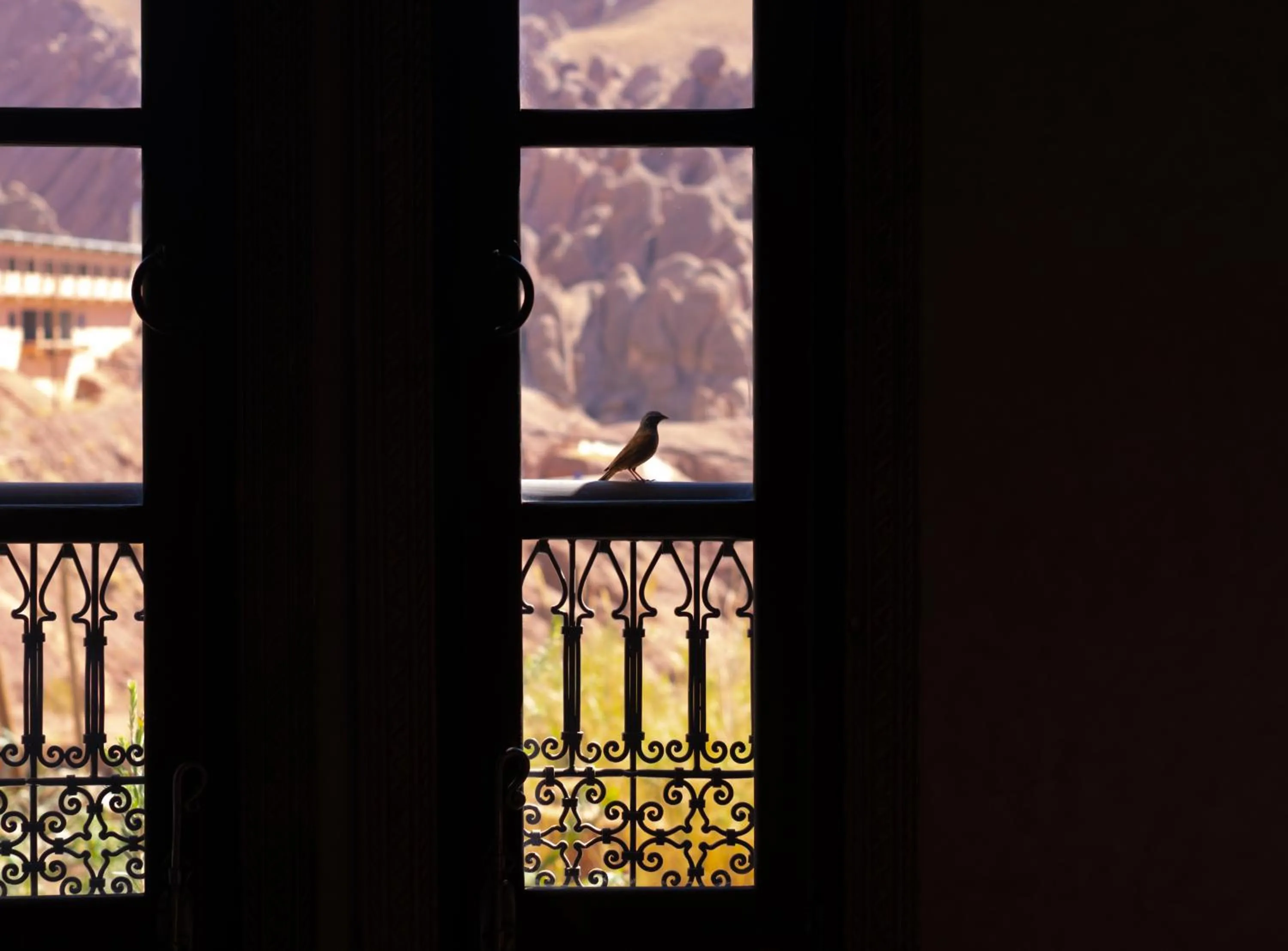 Natural landscape in Eden Boutique Hotel