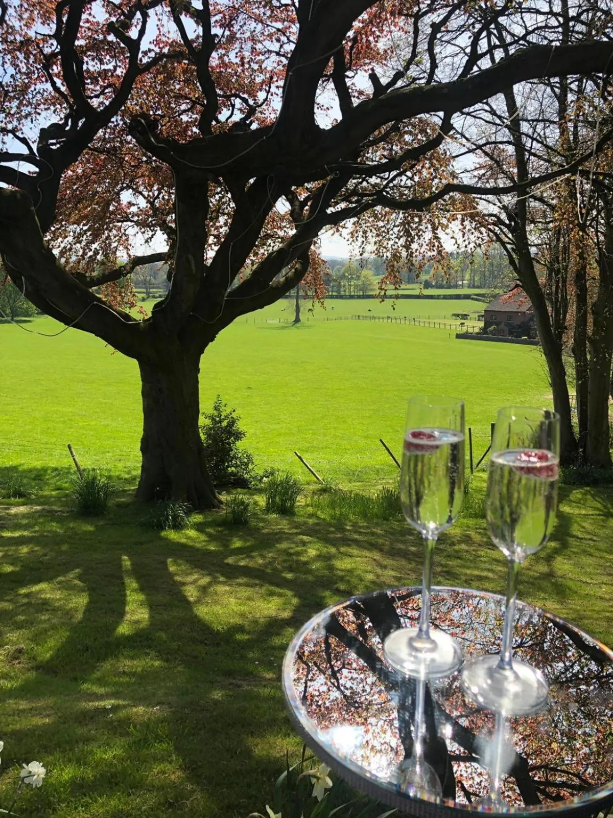 Garden in Hollin House Hotel