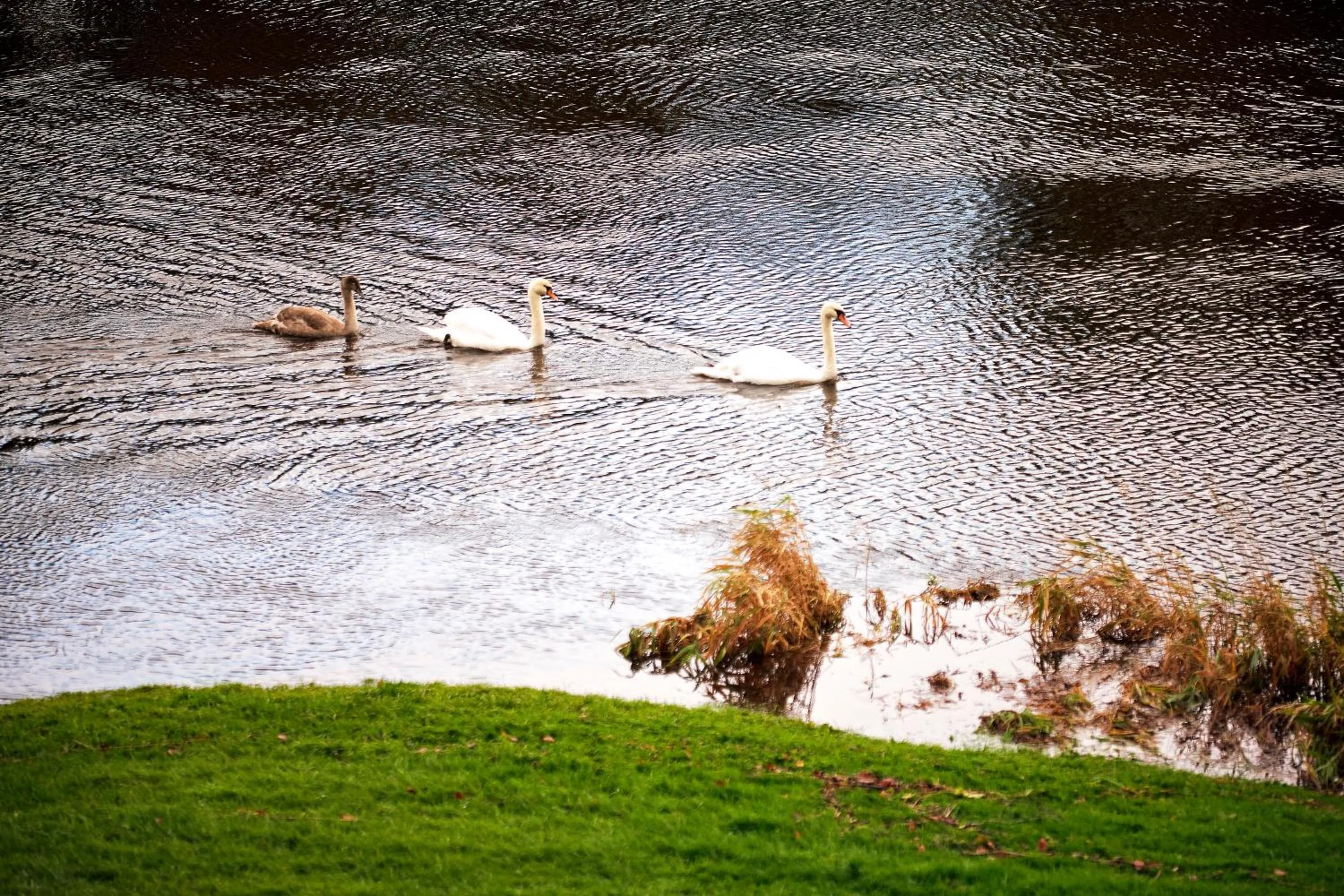 Corrigans Shore House