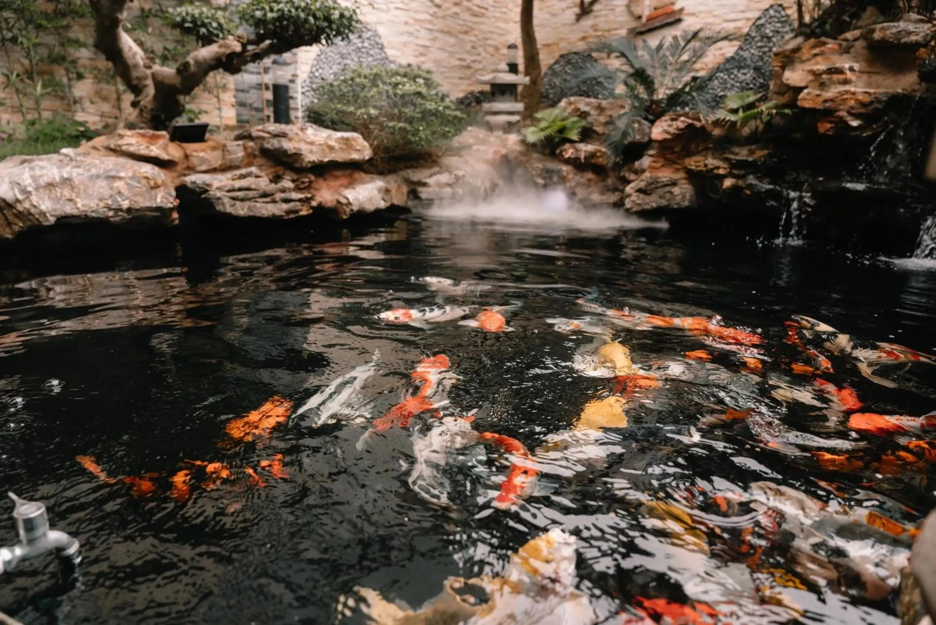 Natural landscape in Diamond Hotel