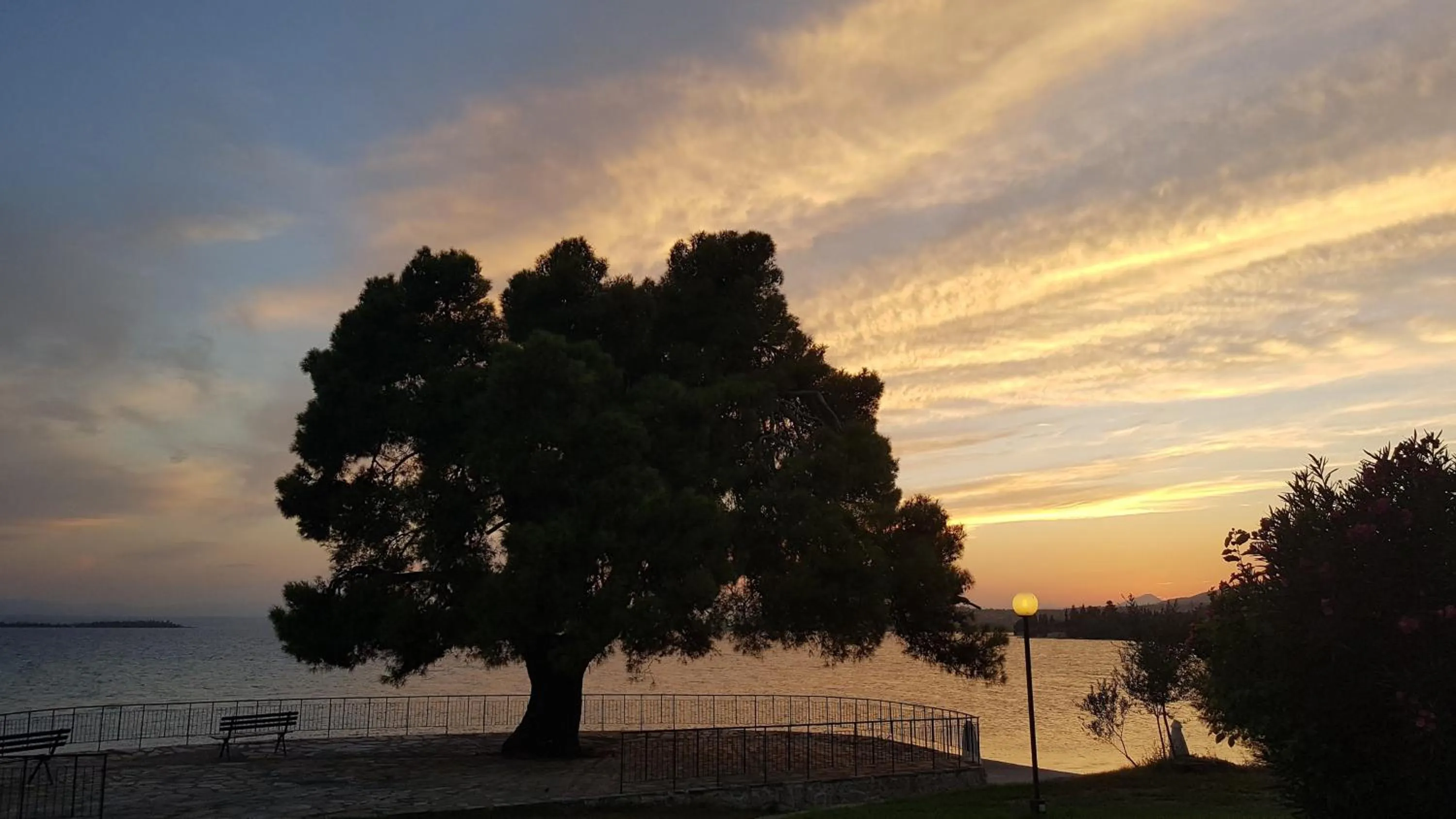 Natural landscape in O Paradise beach Resort and Spa