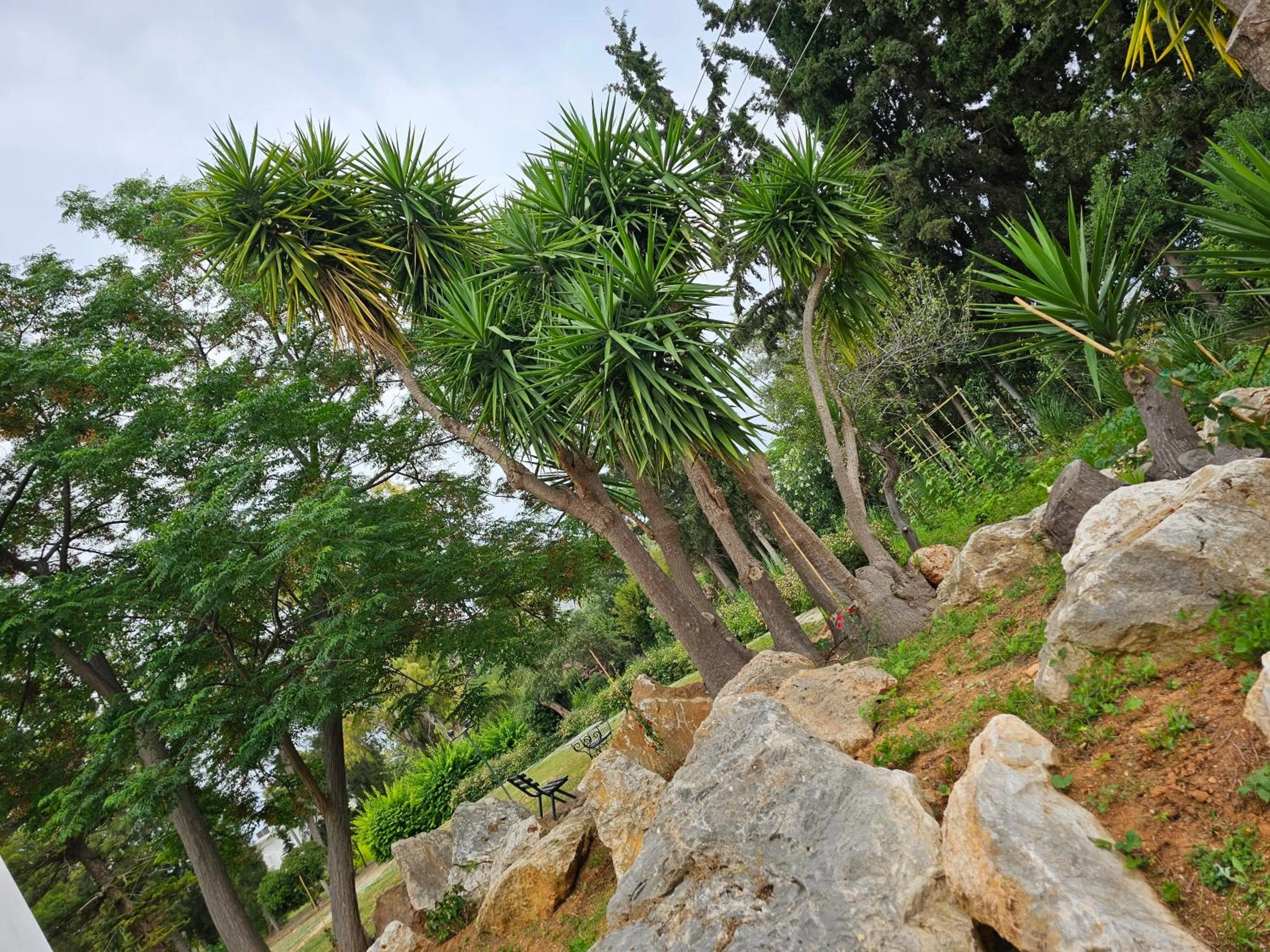 Garden in O Paradise beach Resort and Spa