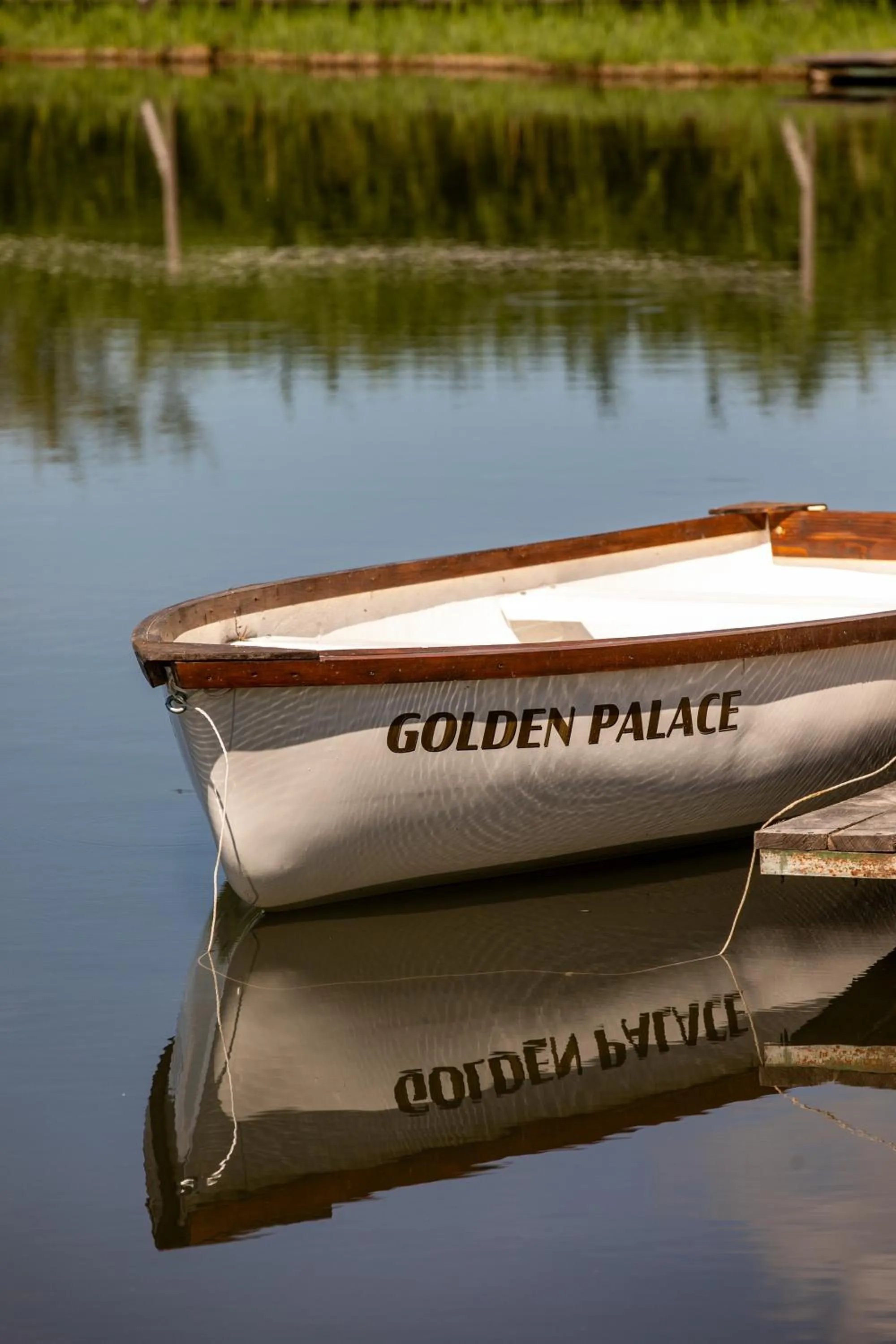 Natural landscape in Hotel Golden Palace